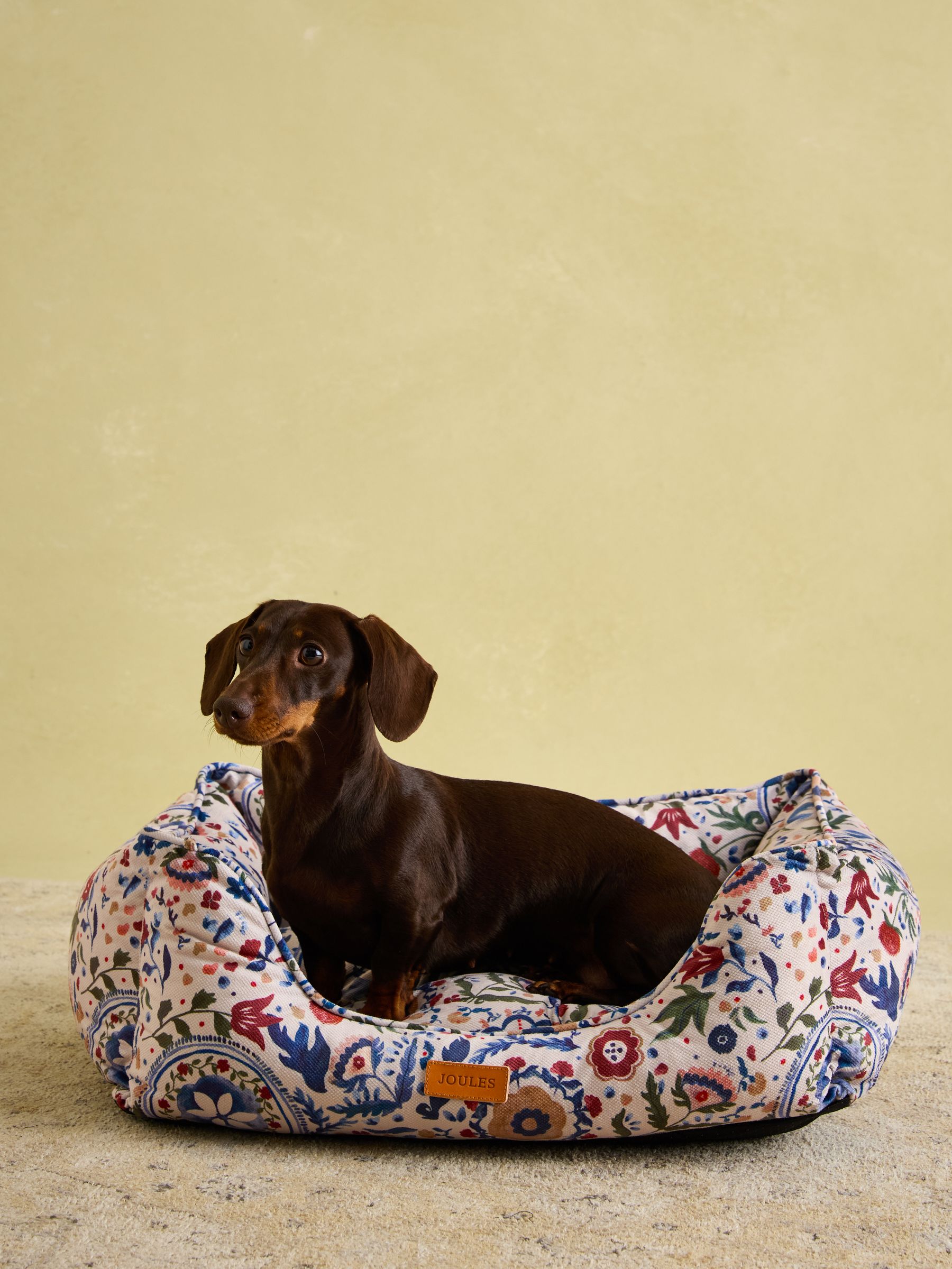 Festival Floral Pet Box Bed - Image 4 of 13