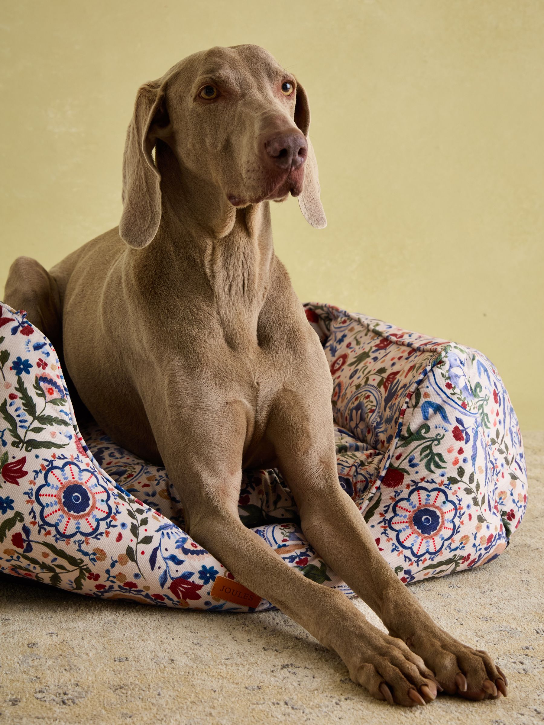 Festival Floral Pet Box Bed - Image 5 of 13