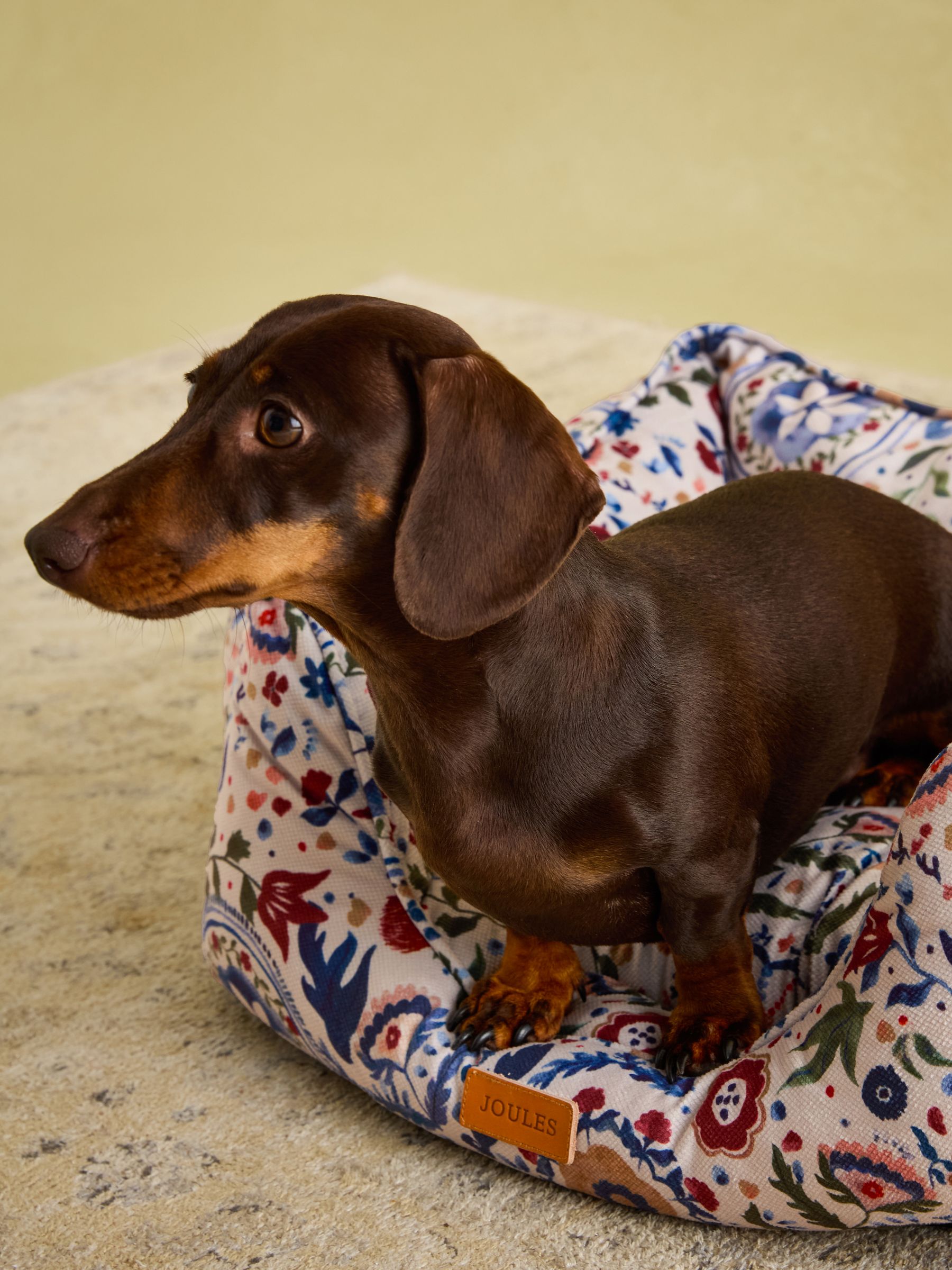 Festival Floral Pet Box Bed - Image 7 of 13