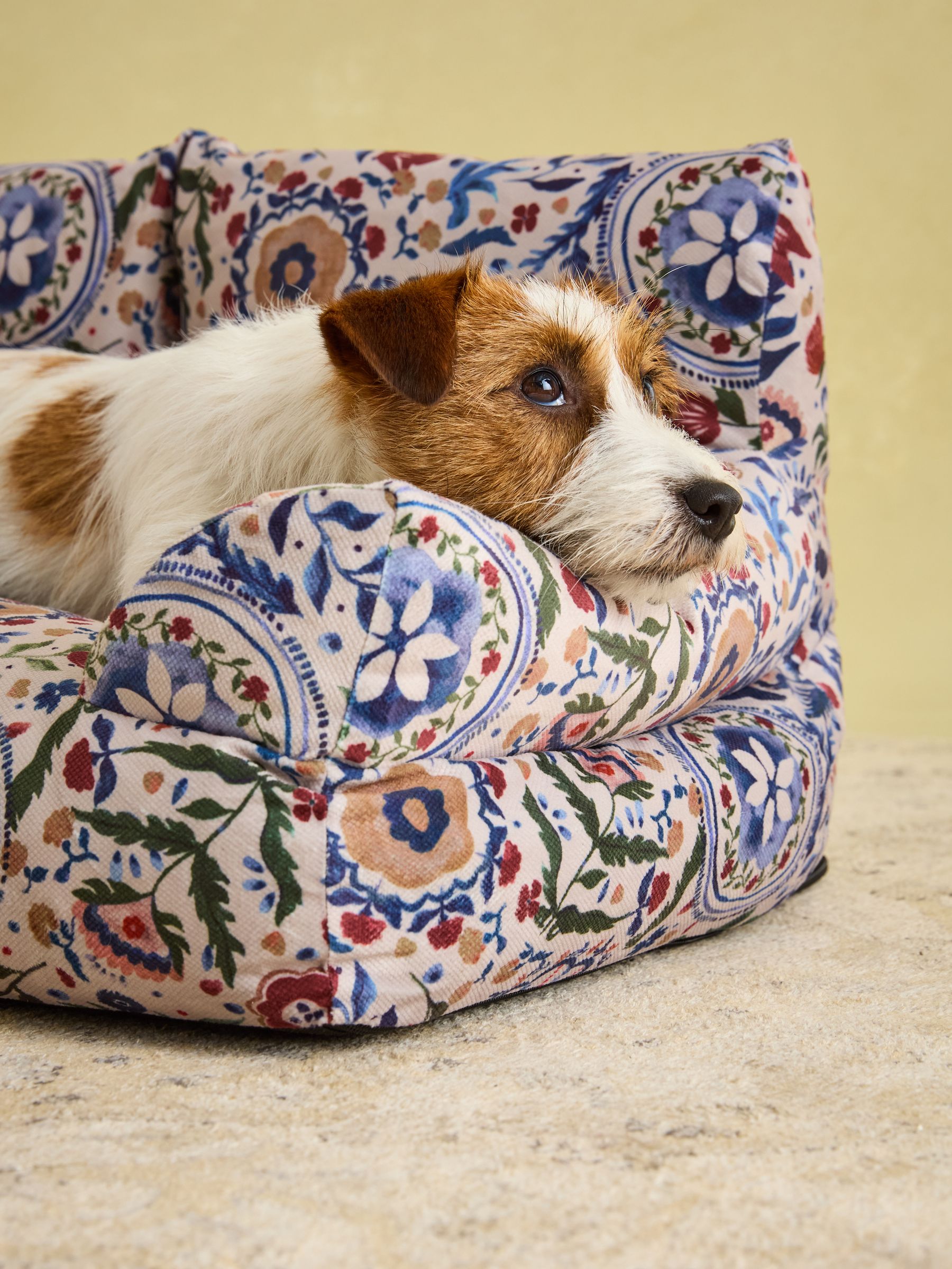 Festival Floral Pet Sofa - Image 4 of 11
