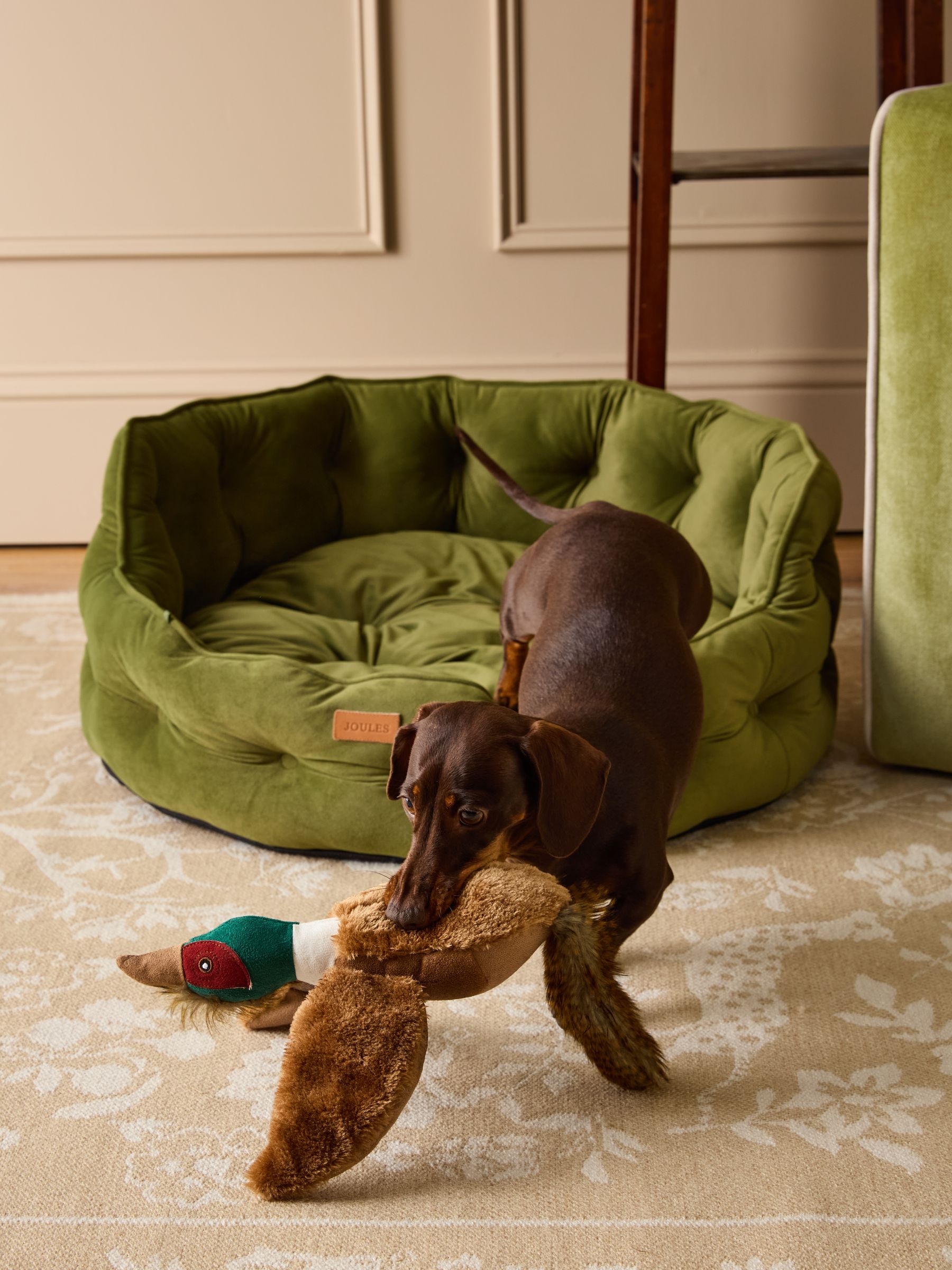 Khaki Chesterfield Pet Bed - Image 1 of 12