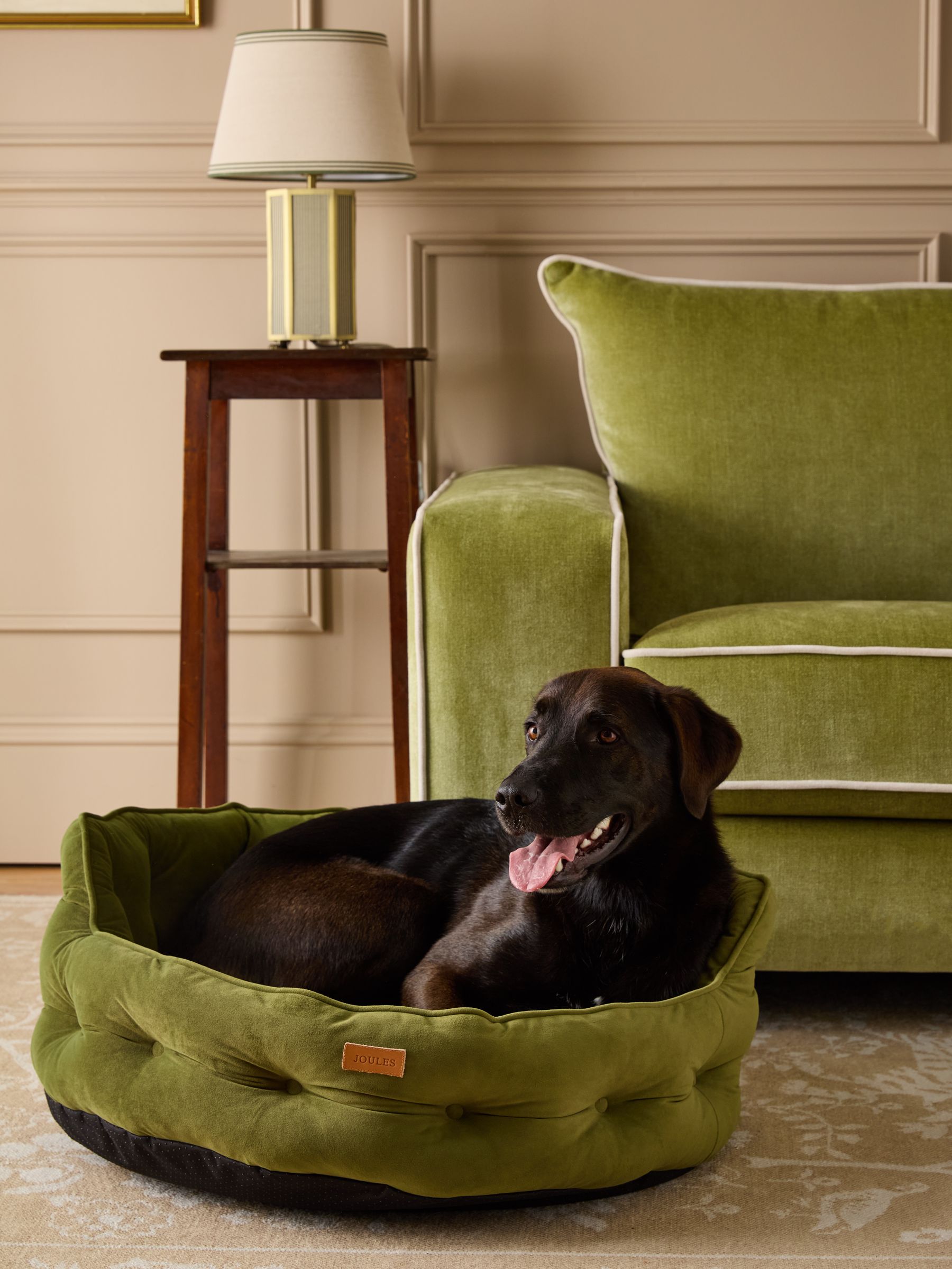 Khaki Chesterfield Pet Bed - Image 2 of 12
