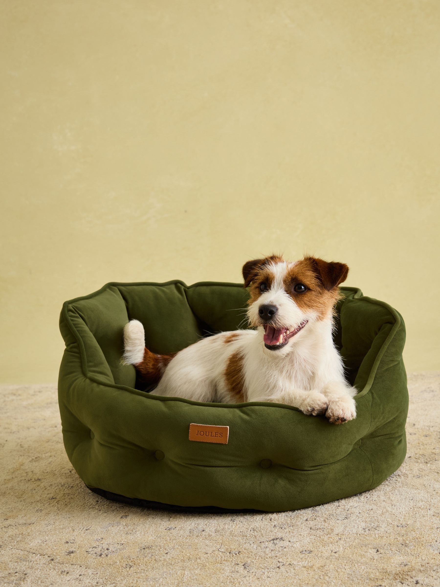 Khaki Chesterfield Pet Bed - Image 4 of 12