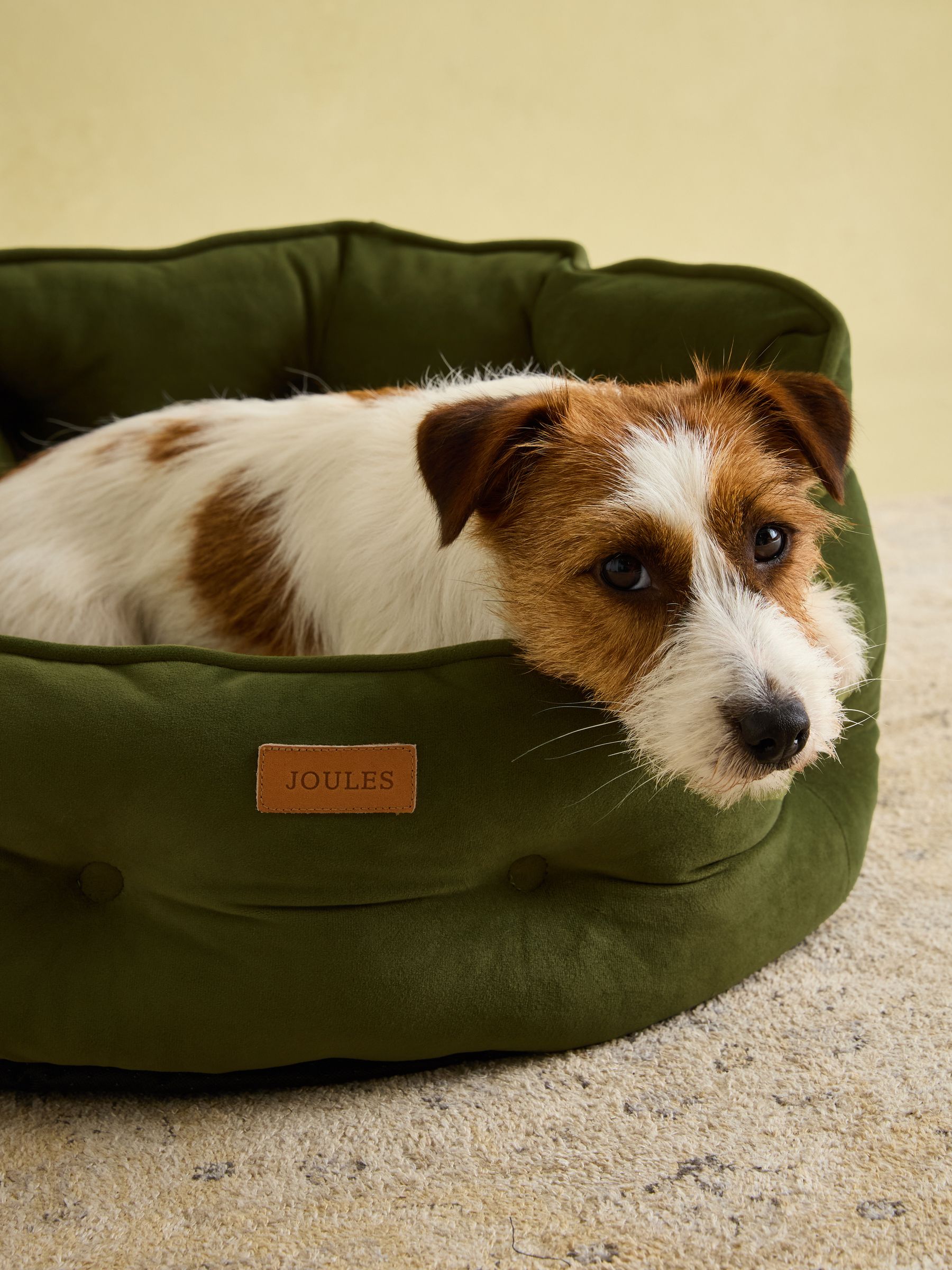 Khaki Chesterfield Pet Bed - Image 6 of 12