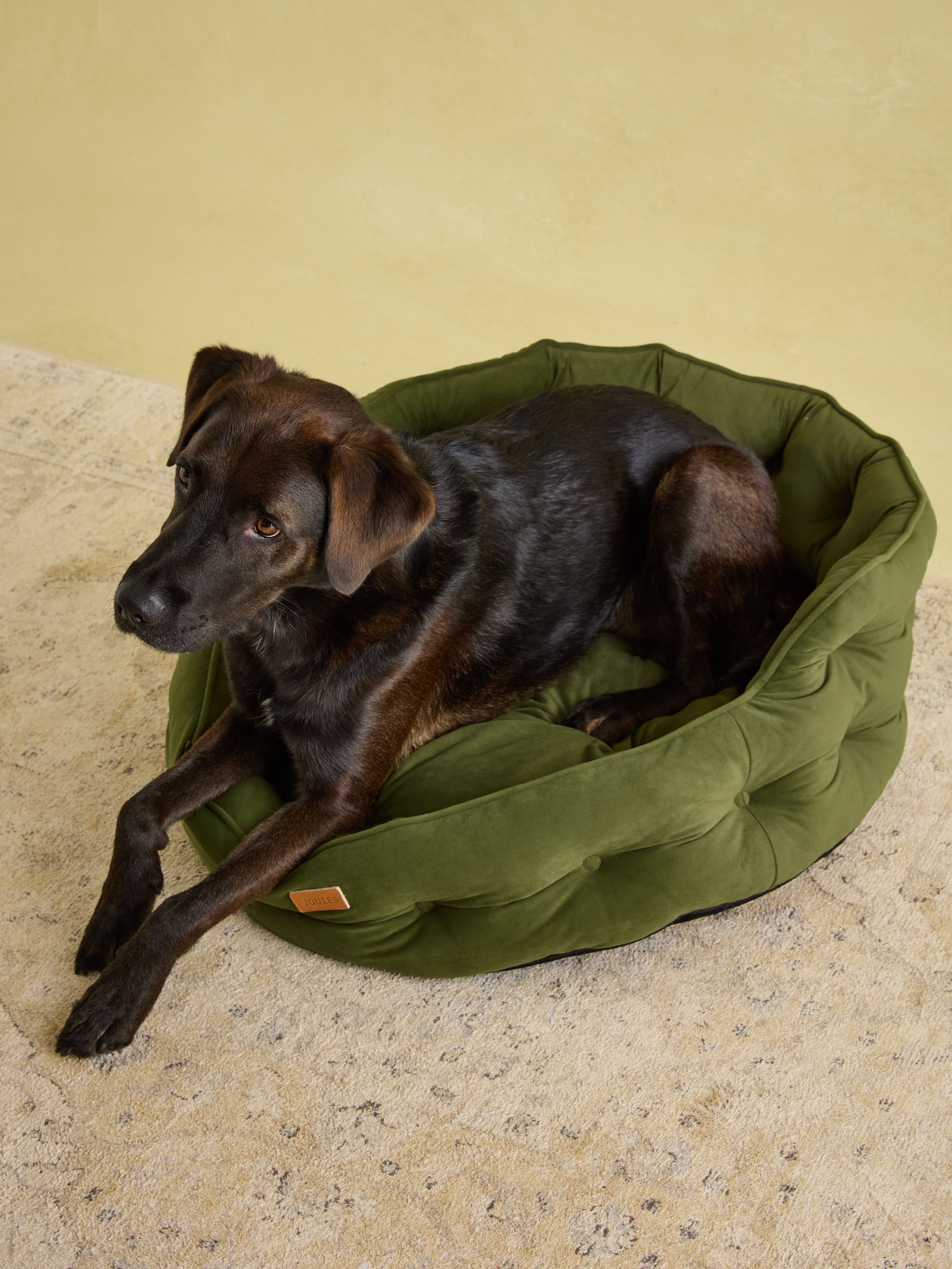 Khaki Chesterfield Pet Bed - Image 8 of 12