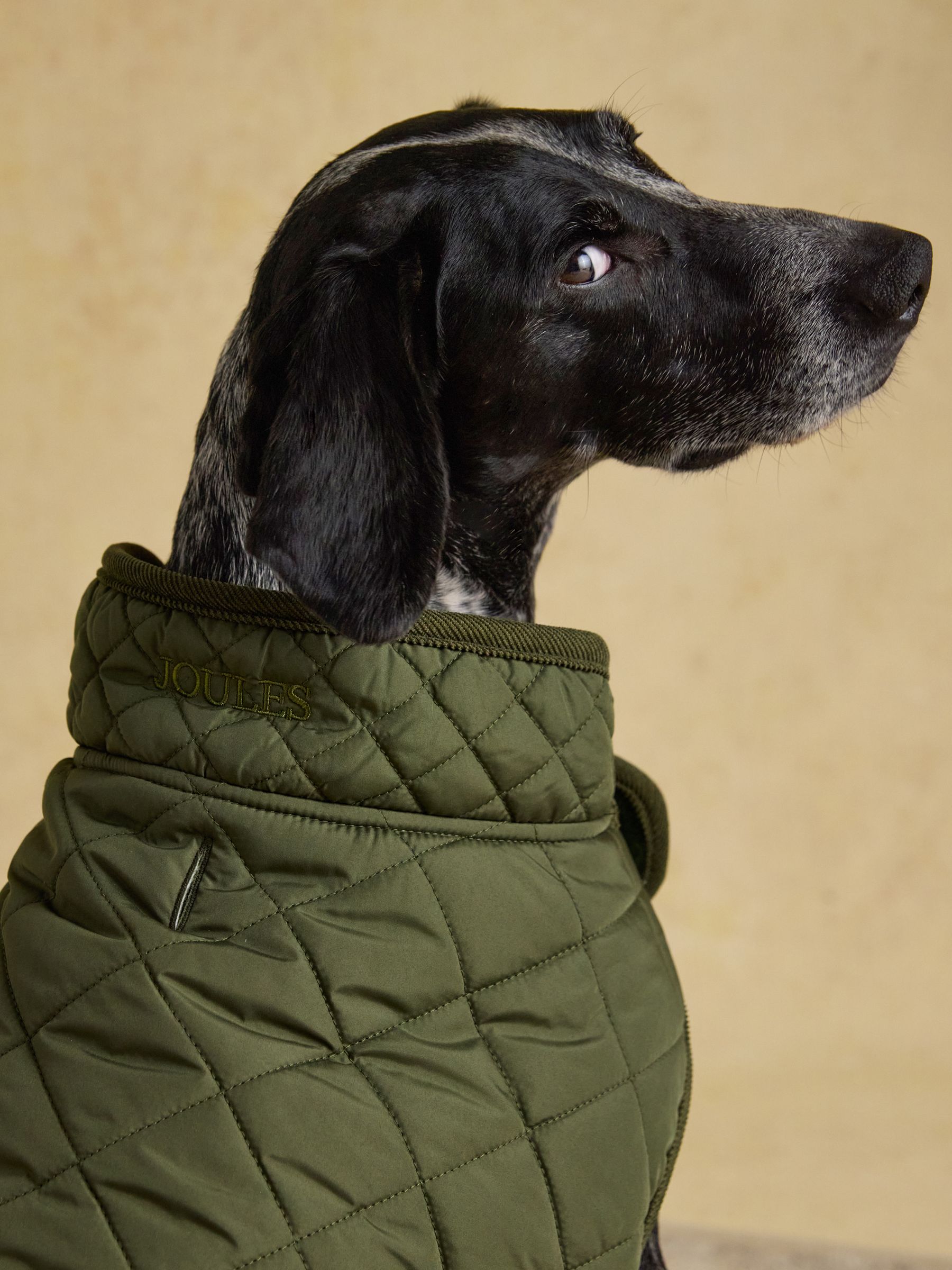 Khaki Green Quilted Dog Coat - Image 2 of 9