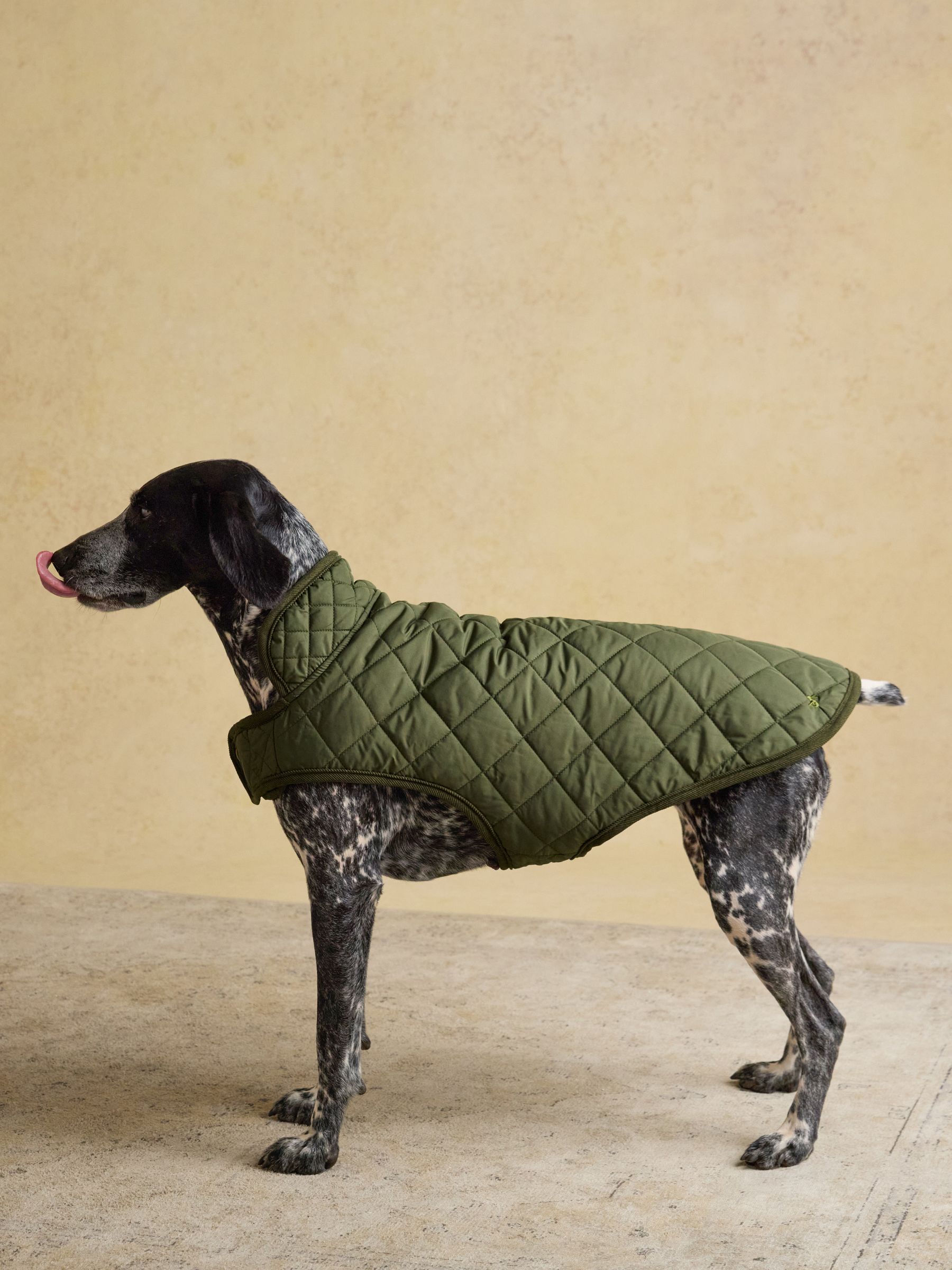 Khaki Green Quilted Dog Coat - Image 3 of 9