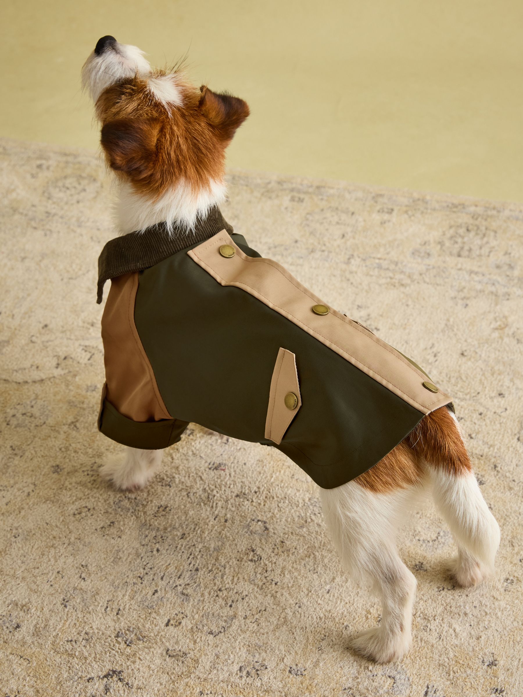 Kennington Brown & Khaki Dog Coat - Image 2 of 16