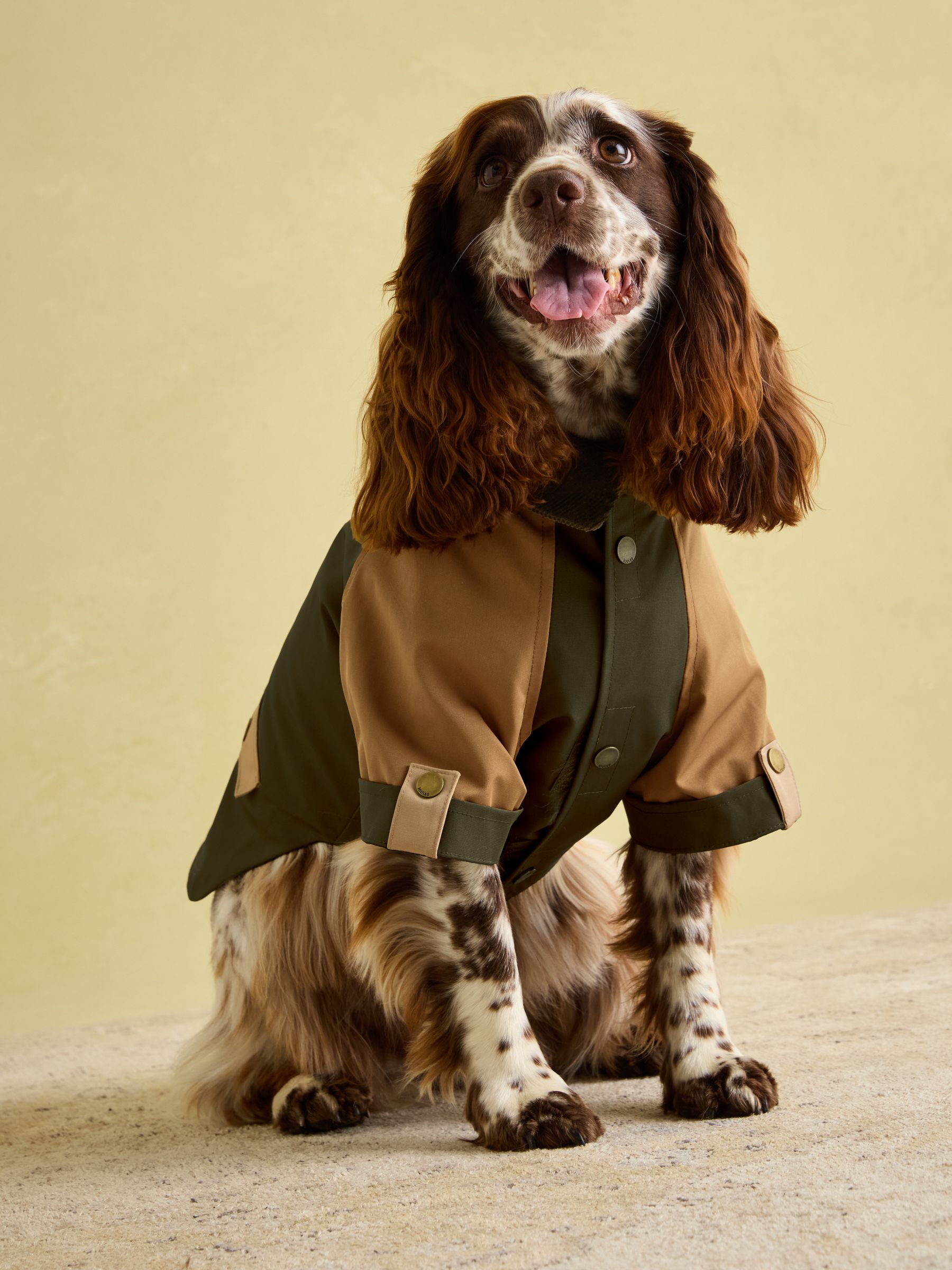 Kennington Brown & Khaki Dog Coat - Image 4 of 16