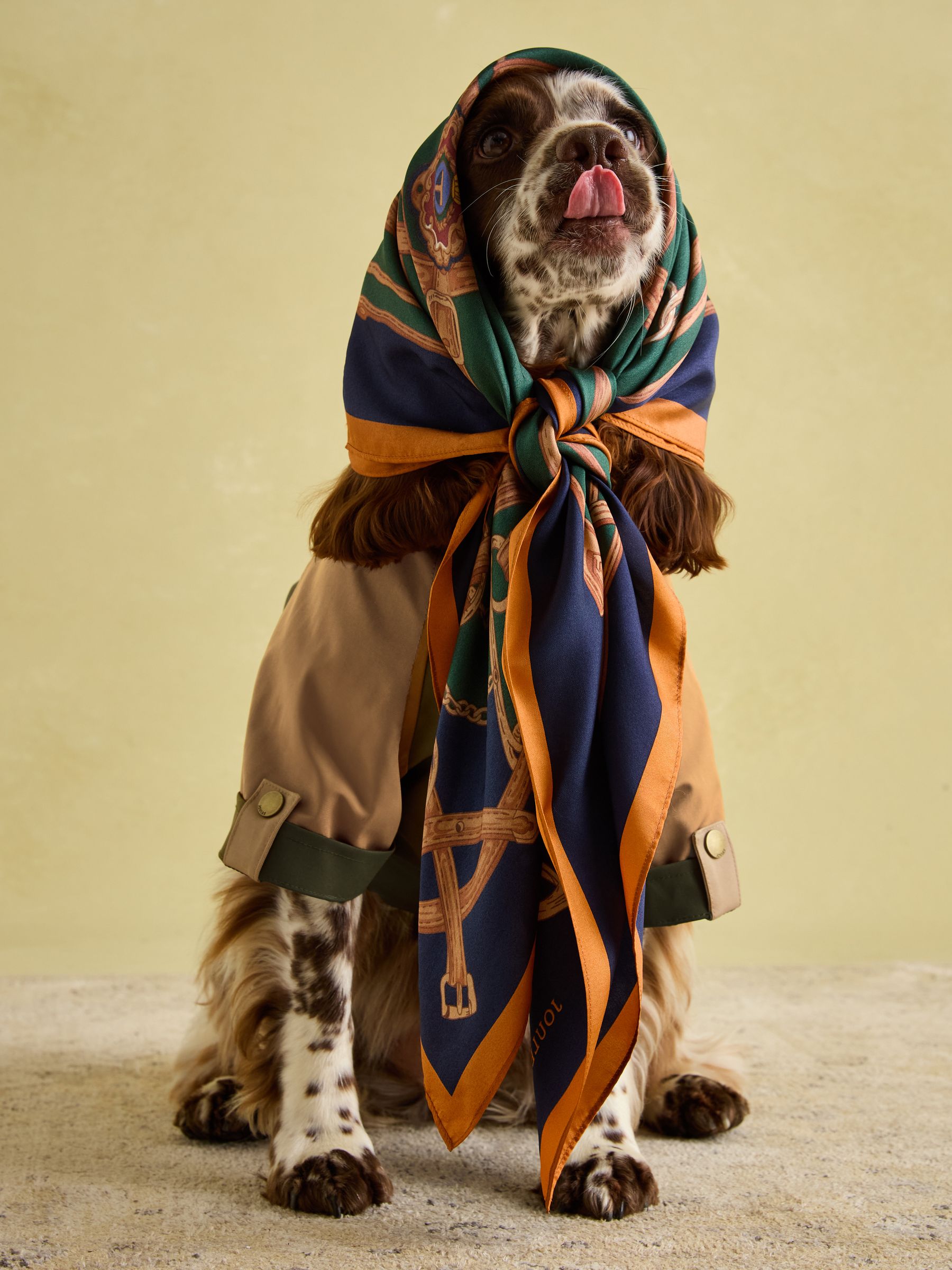 Kennington Brown & Khaki Dog Coat - Image 5 of 16