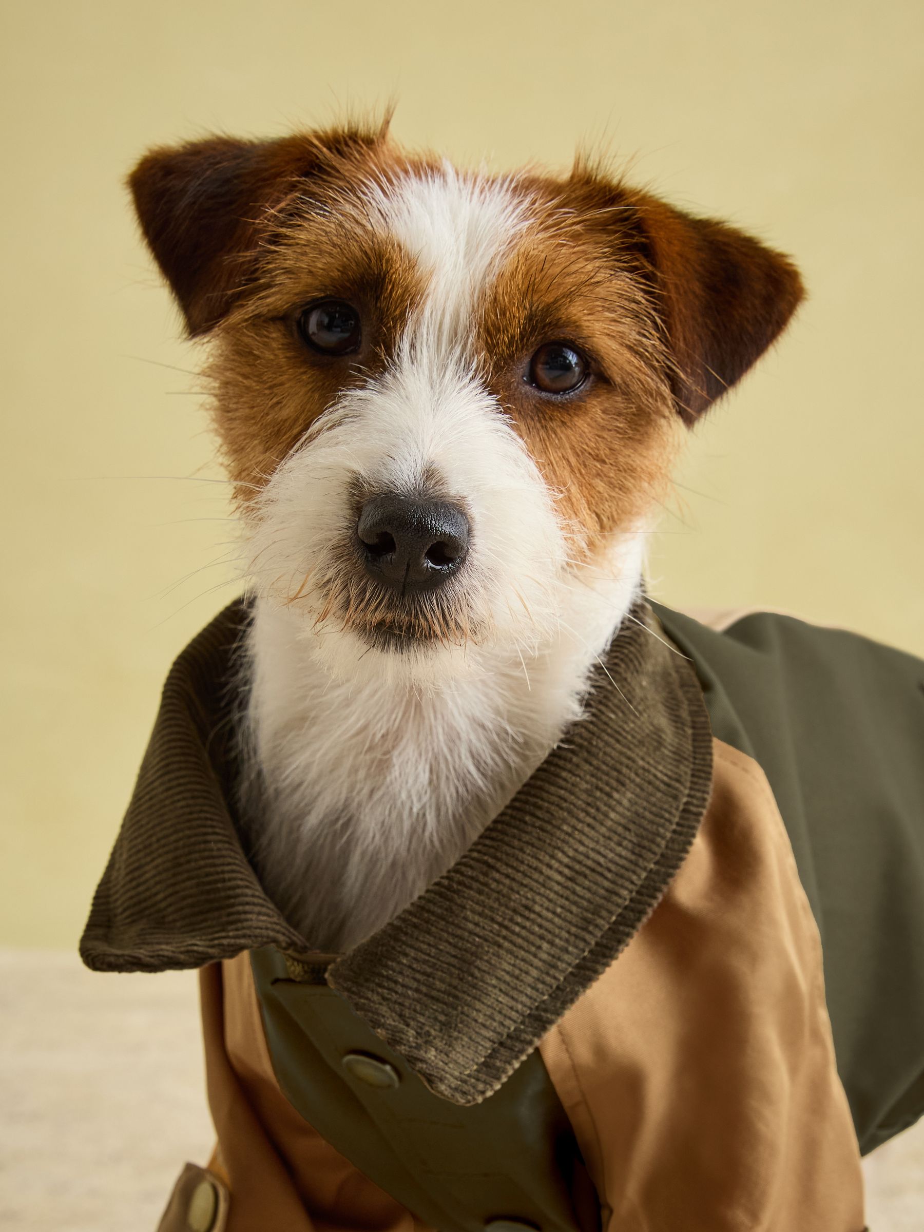 Kennington Brown & Khaki Dog Coat - Image 6 of 16