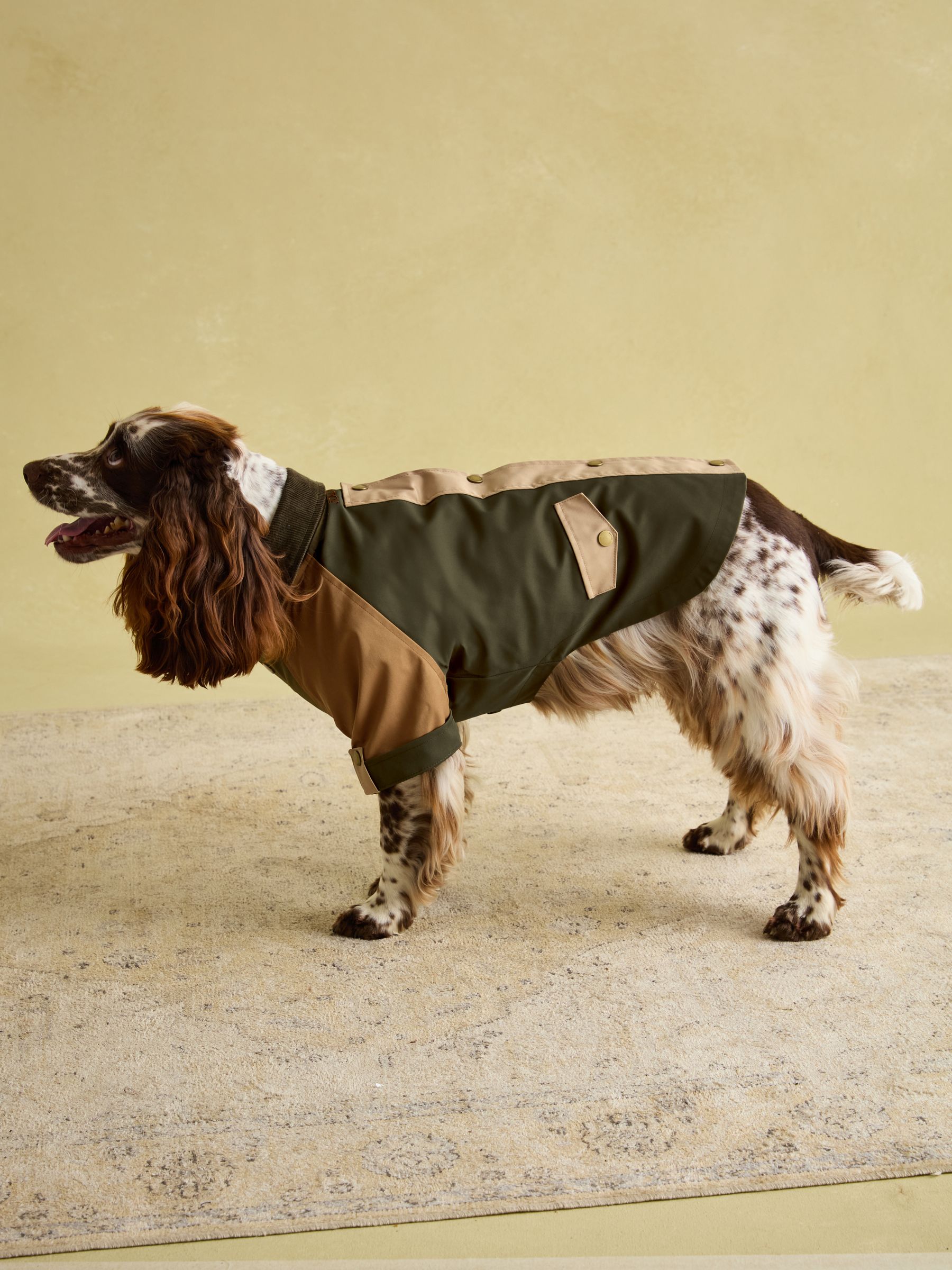 Kennington Brown & Khaki Dog Coat - Image 8 of 16