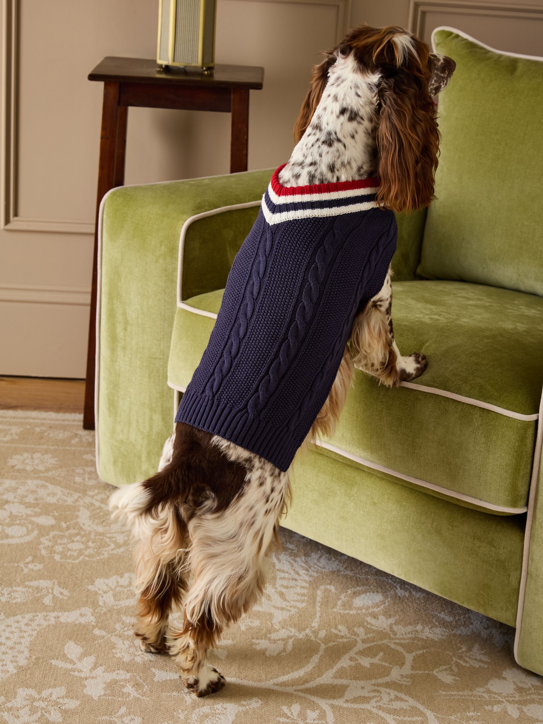 Dawson Navy Blue Dog Knit Jumper - Image 1 of 14