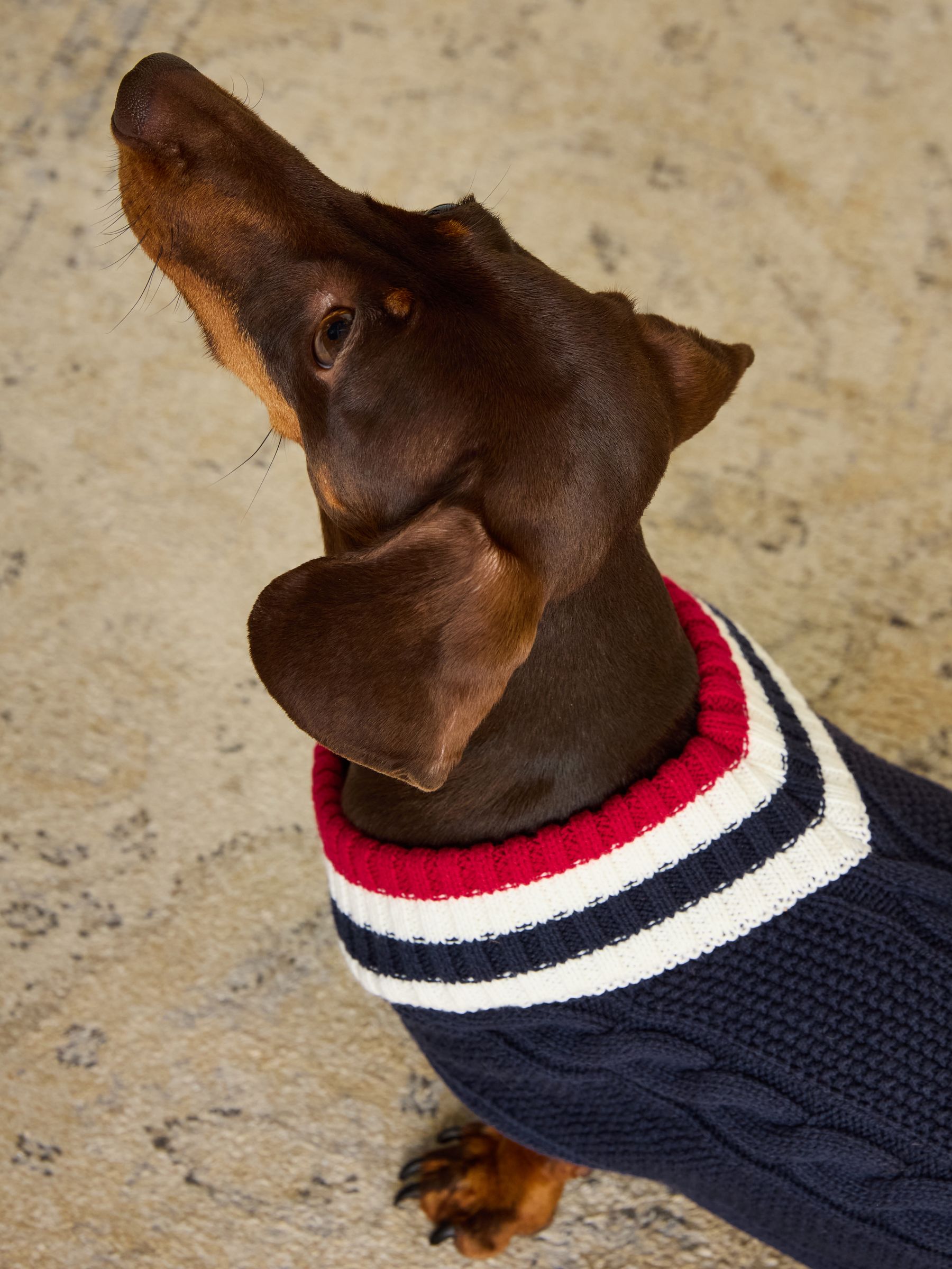 Dawson Navy Blue Dog Knit Jumper - Image 10 of 14