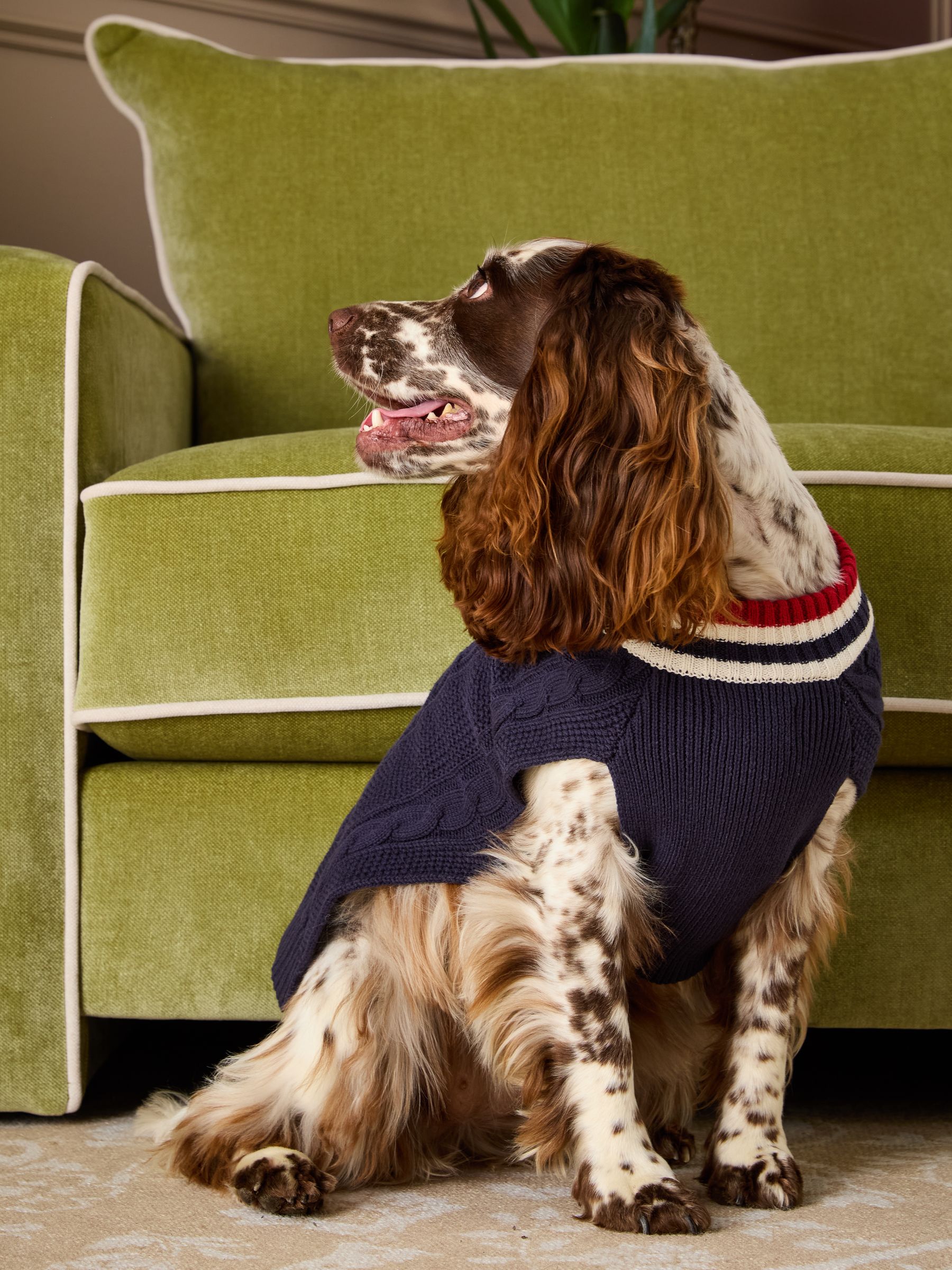 Dawson Navy Blue Dog Knit Jumper - Image 2 of 14