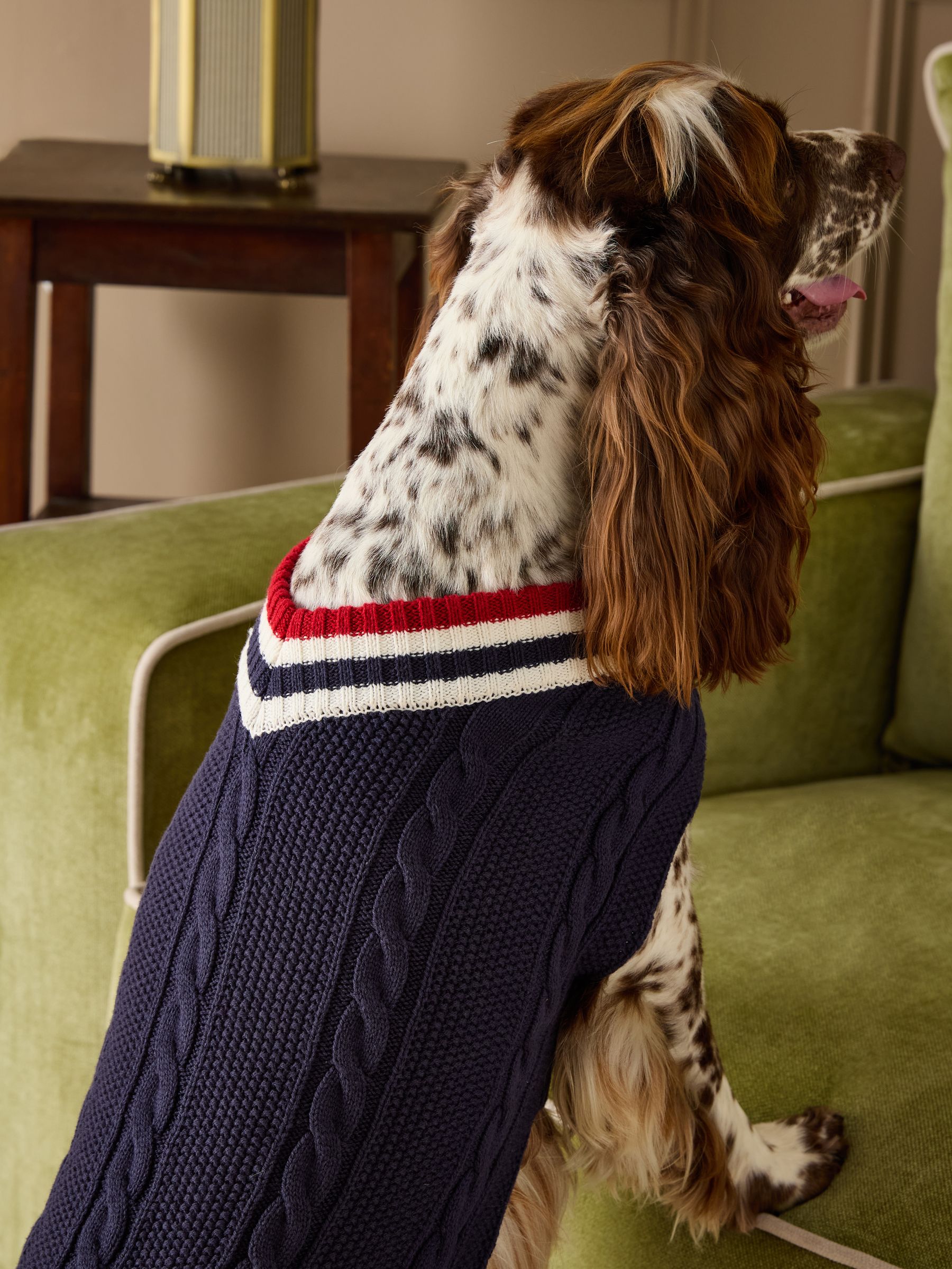 Dawson Navy Blue Dog Knit Jumper - Image 4 of 14
