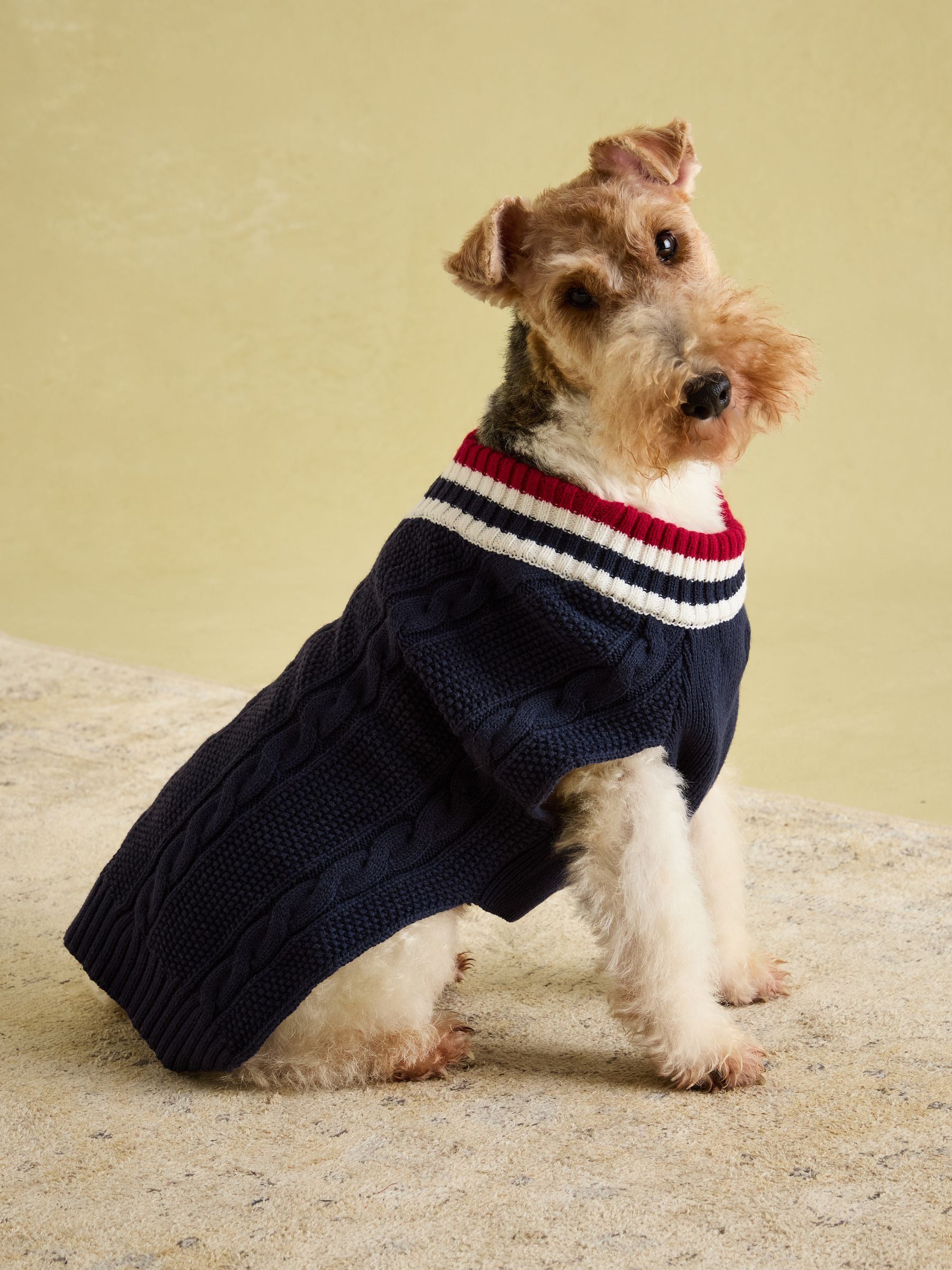 Dawson Navy Blue Dog Knit Jumper - Image 5 of 14