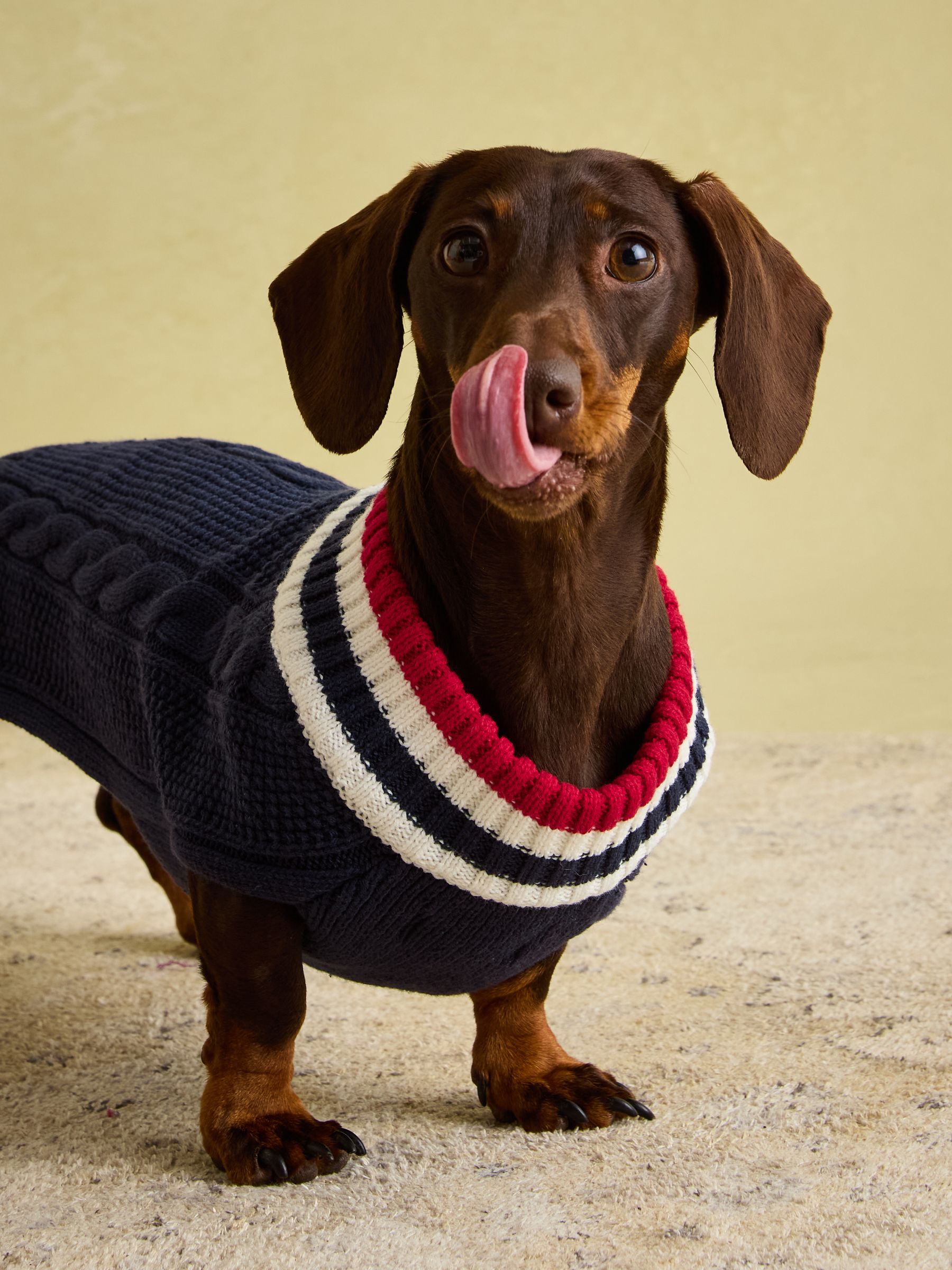 Dawson Navy Blue Dog Knit Jumper - Image 6 of 14