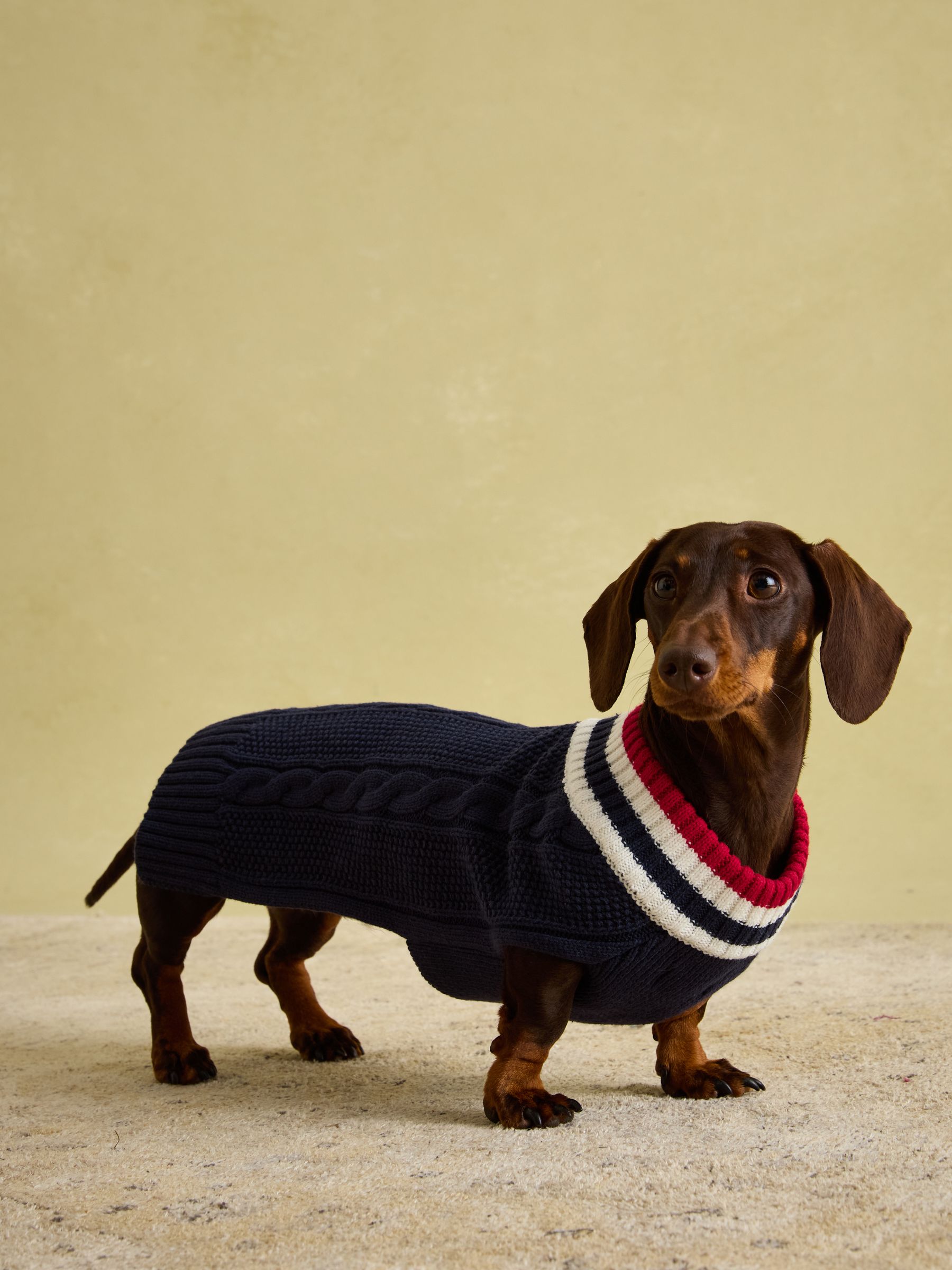 Dawson Navy Blue Dog Knit Jumper - Image 7 of 14