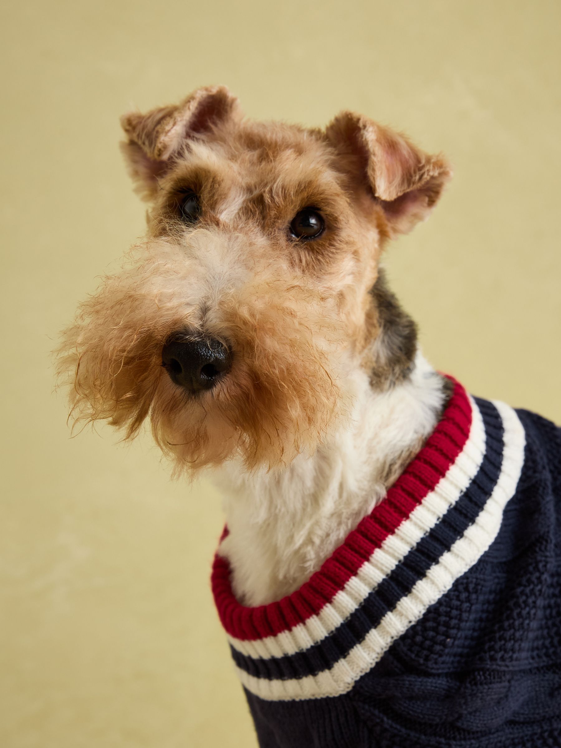Dawson Navy Blue Dog Knit Jumper - Image 9 of 14