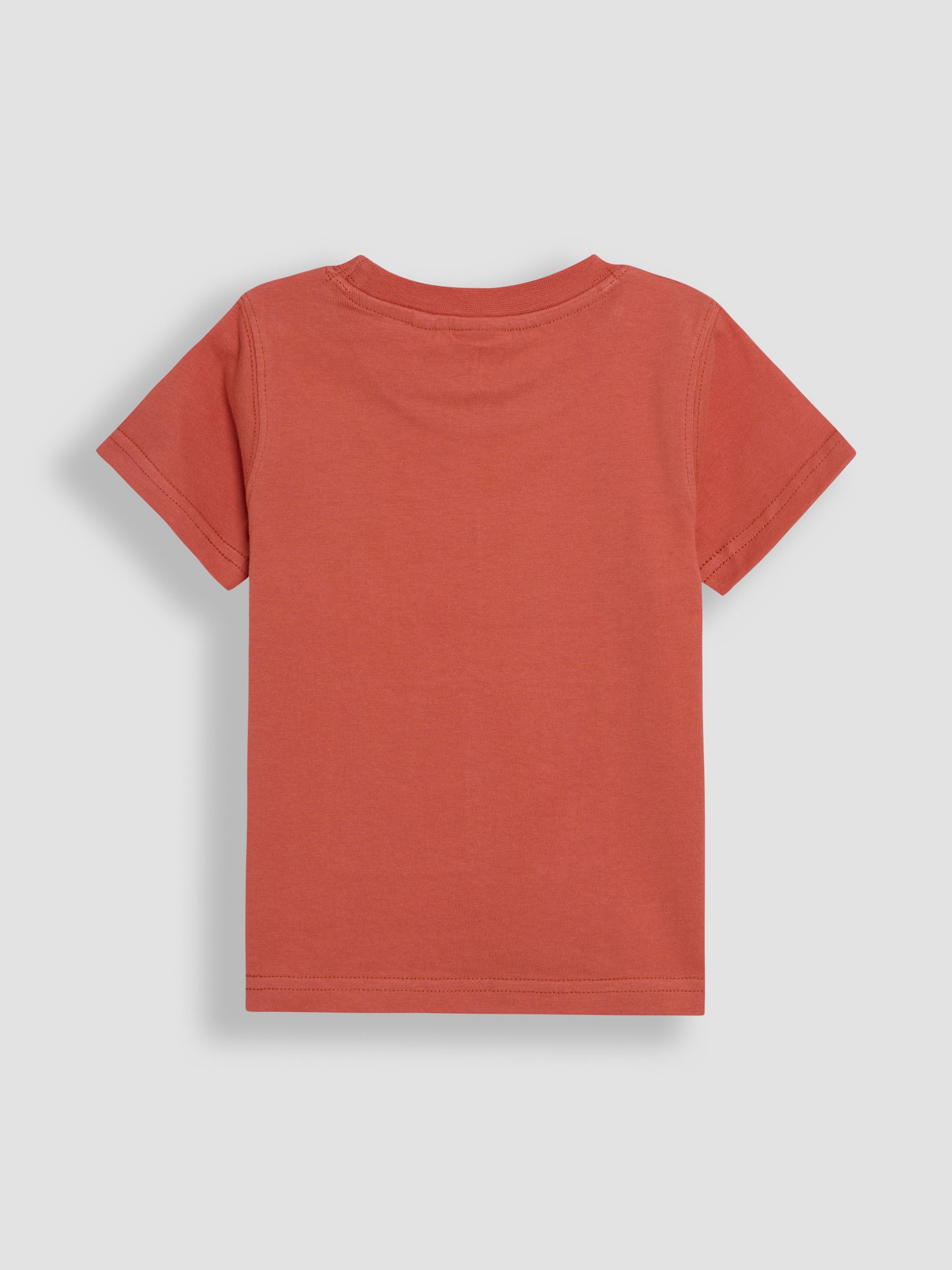 Orange Safari Graphic Printed & Plain T-Shirts 2 Pack - Image 3 of 7