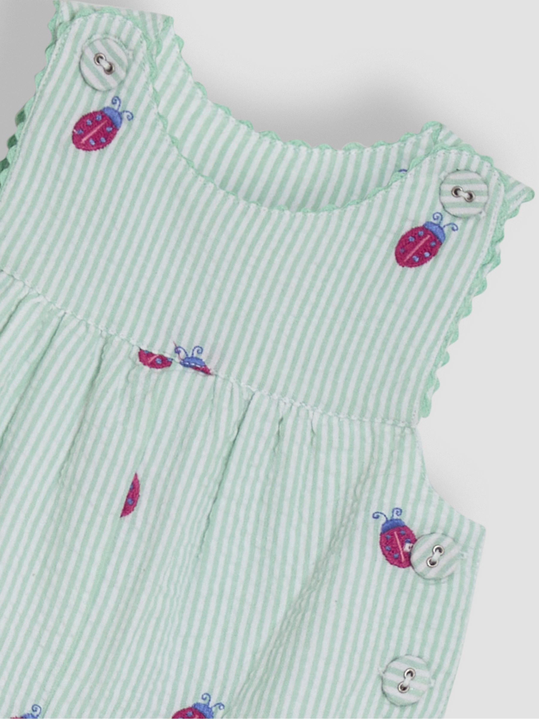 Green Ladybird Embroidered Dungarees - Image 3 of 3