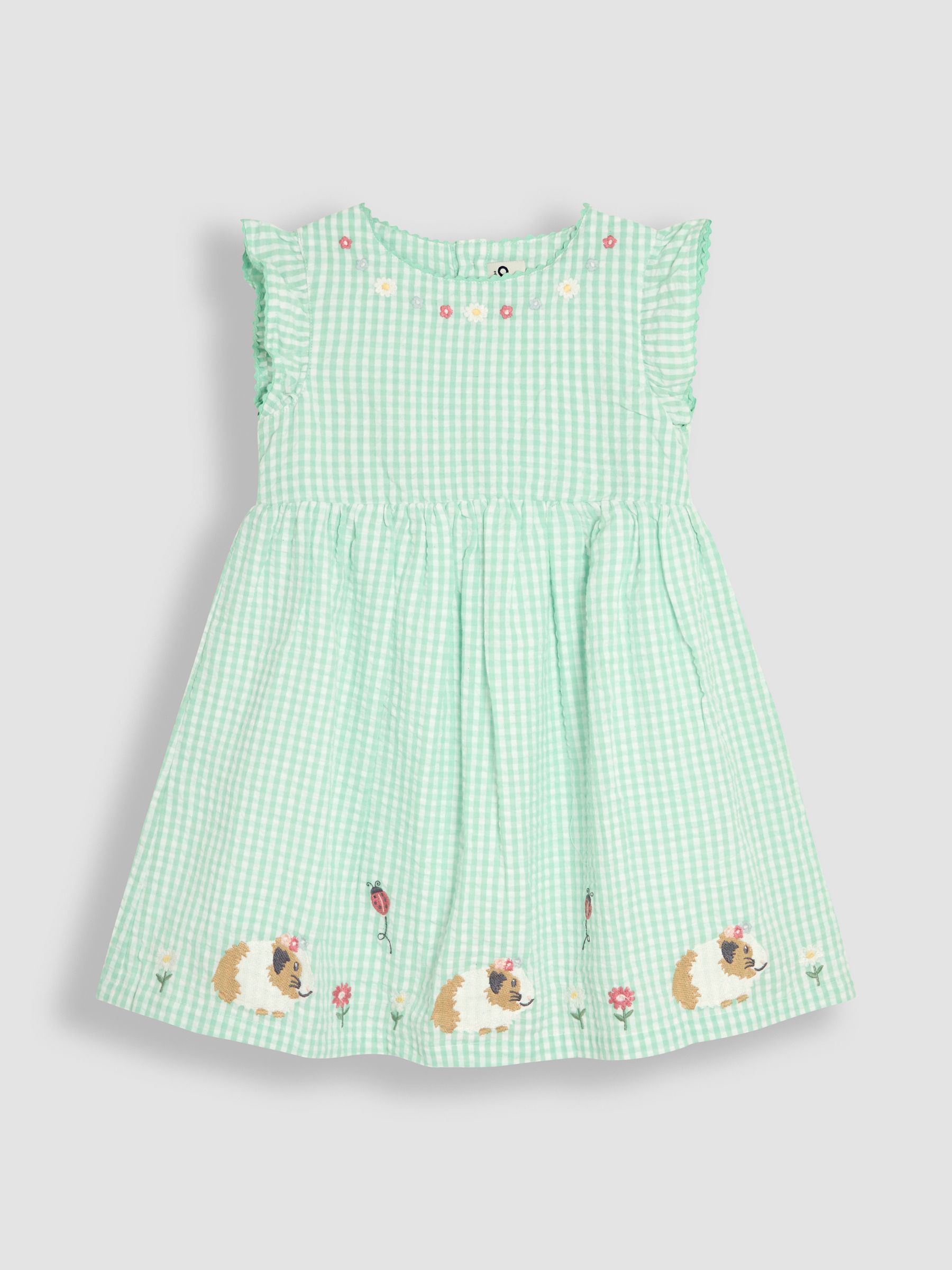 Green Guinea Pig Appliqué Gingham Summer Dress - Image 1 of 3