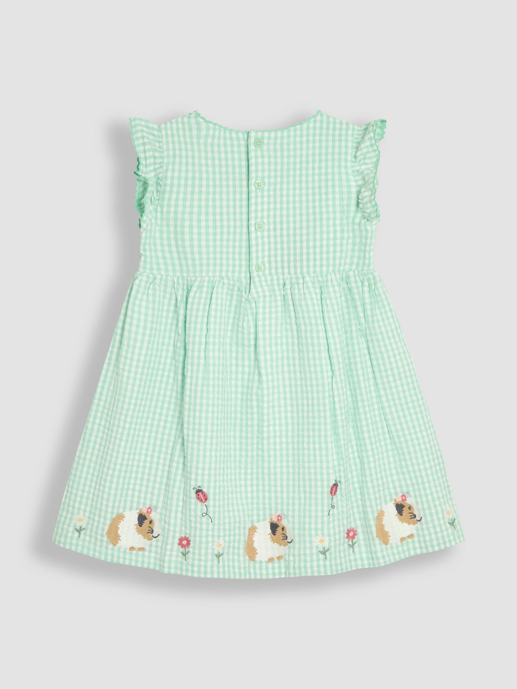 Green Guinea Pig Appliqué Gingham Summer Dress - Image 2 of 3