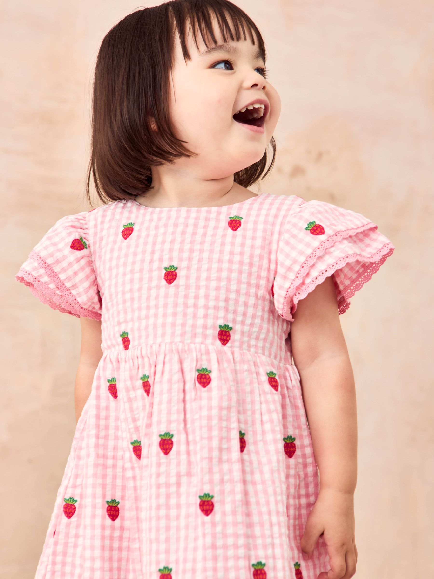 Pink Strawberry Embroidered Gingham Double Frill Shoulder Dress - Image 4 of 7