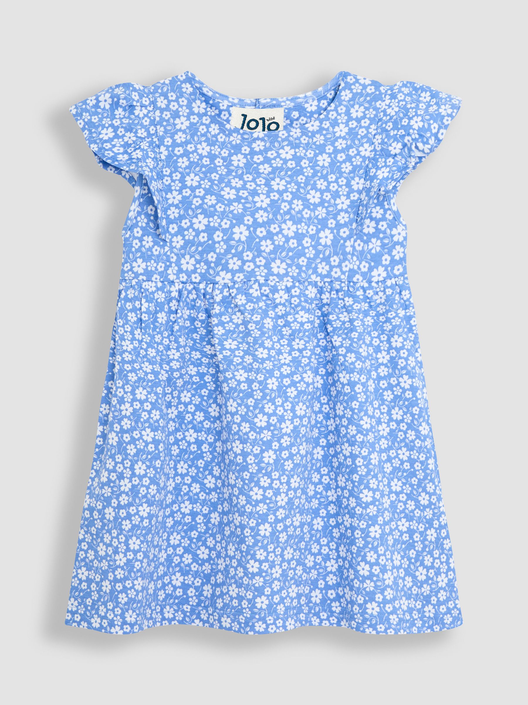 Blue Ditsy Floral Print Dress