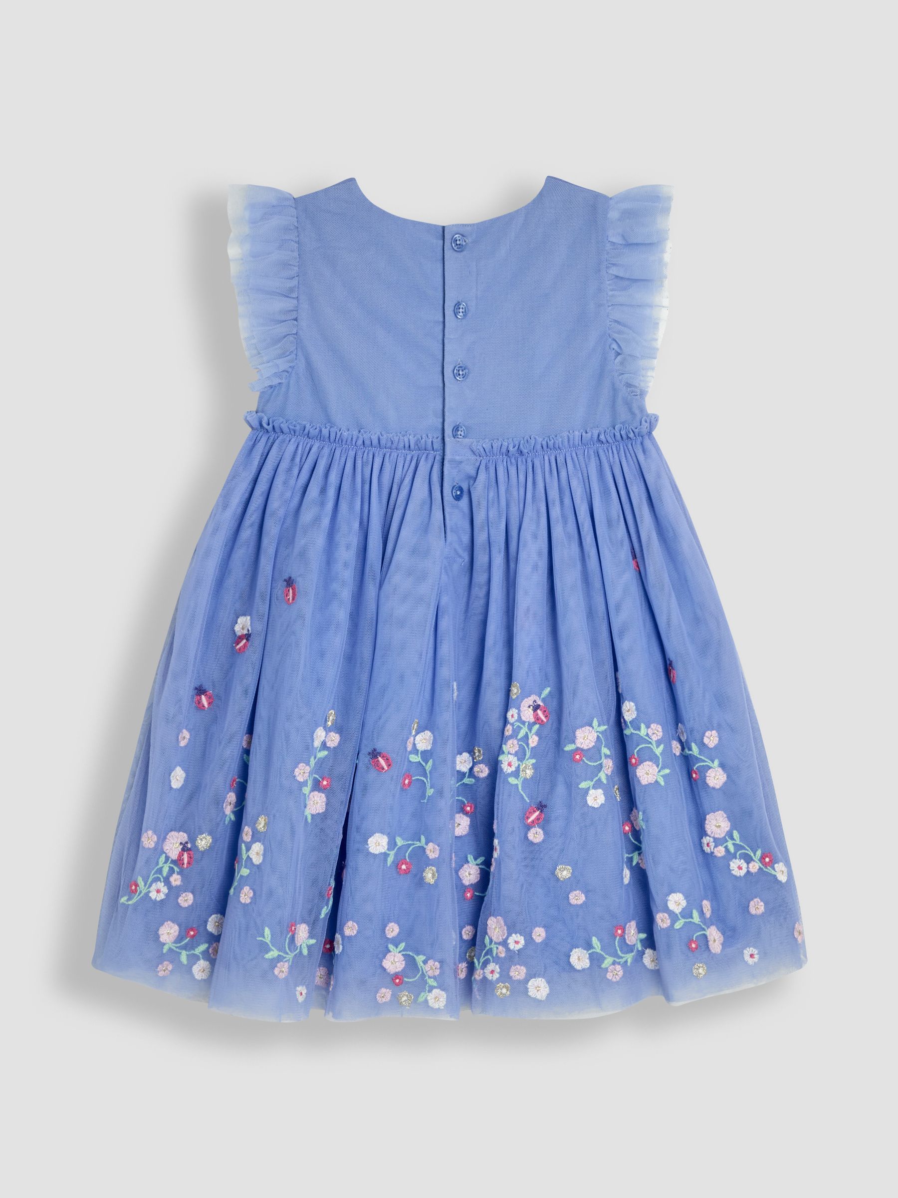 Blue Ladybird Floral Frill Embroidered Tulle Party Dress - Image 2 of 3