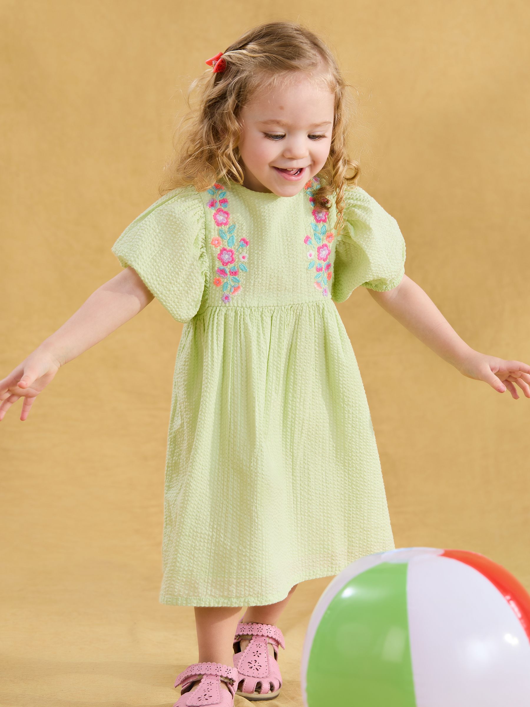 Green Floral Embroidered Balloon Sleeve Dress - Image 1 of 3