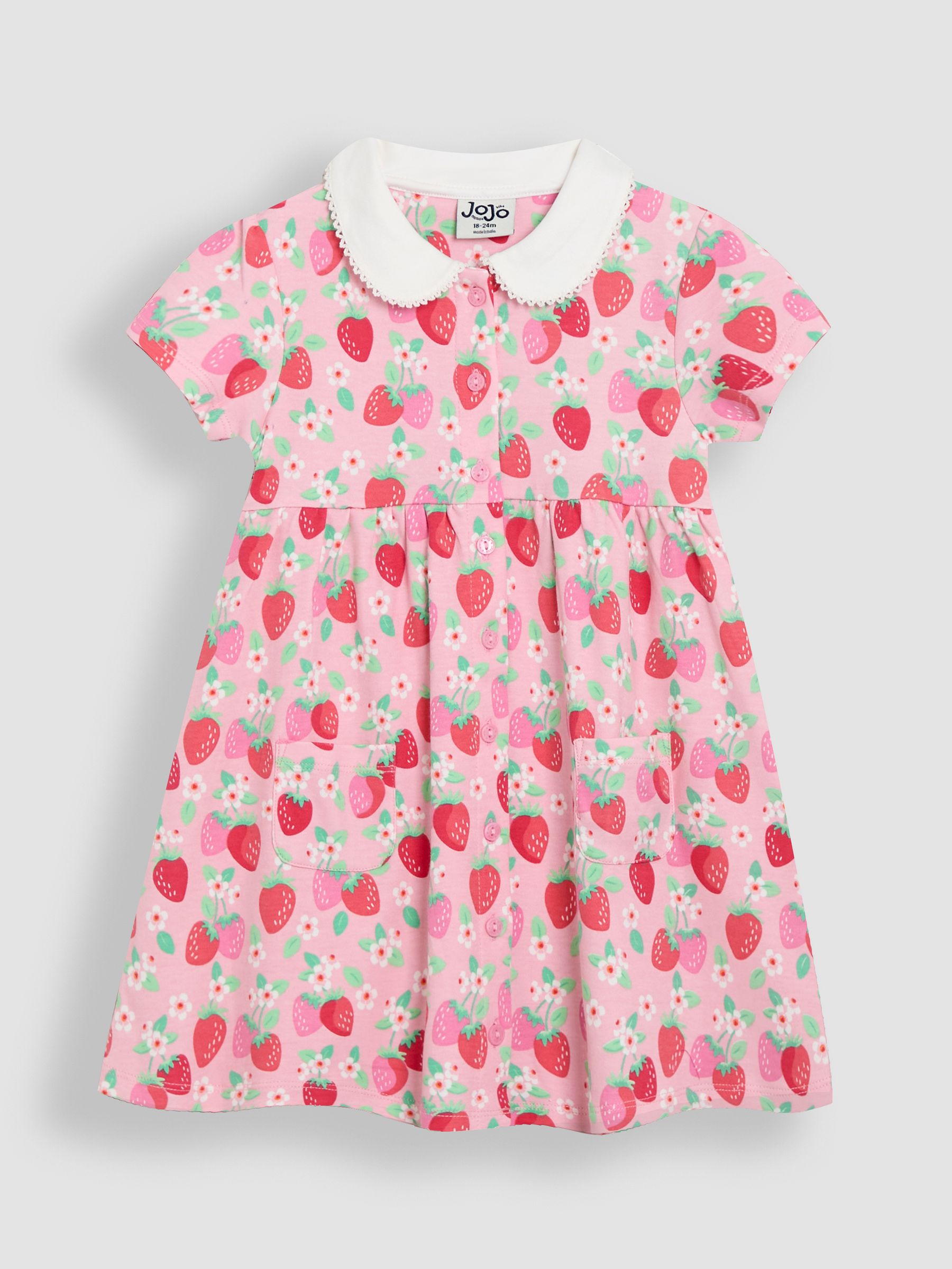 Pink Strawberry Floral Peter Pan Collar Button Front Dress - Image 1 of 4