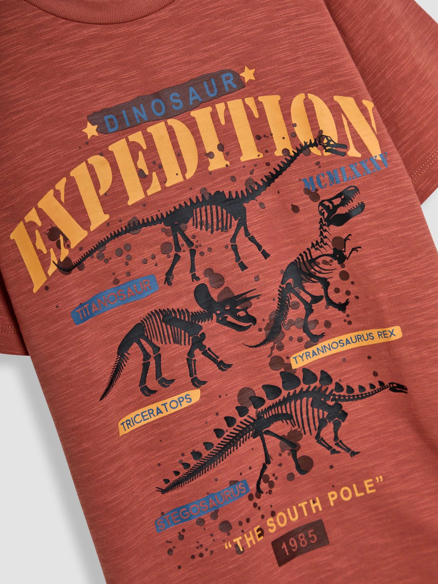 Rust Dino Graphic Print T-Shirt - Image 2 of 3