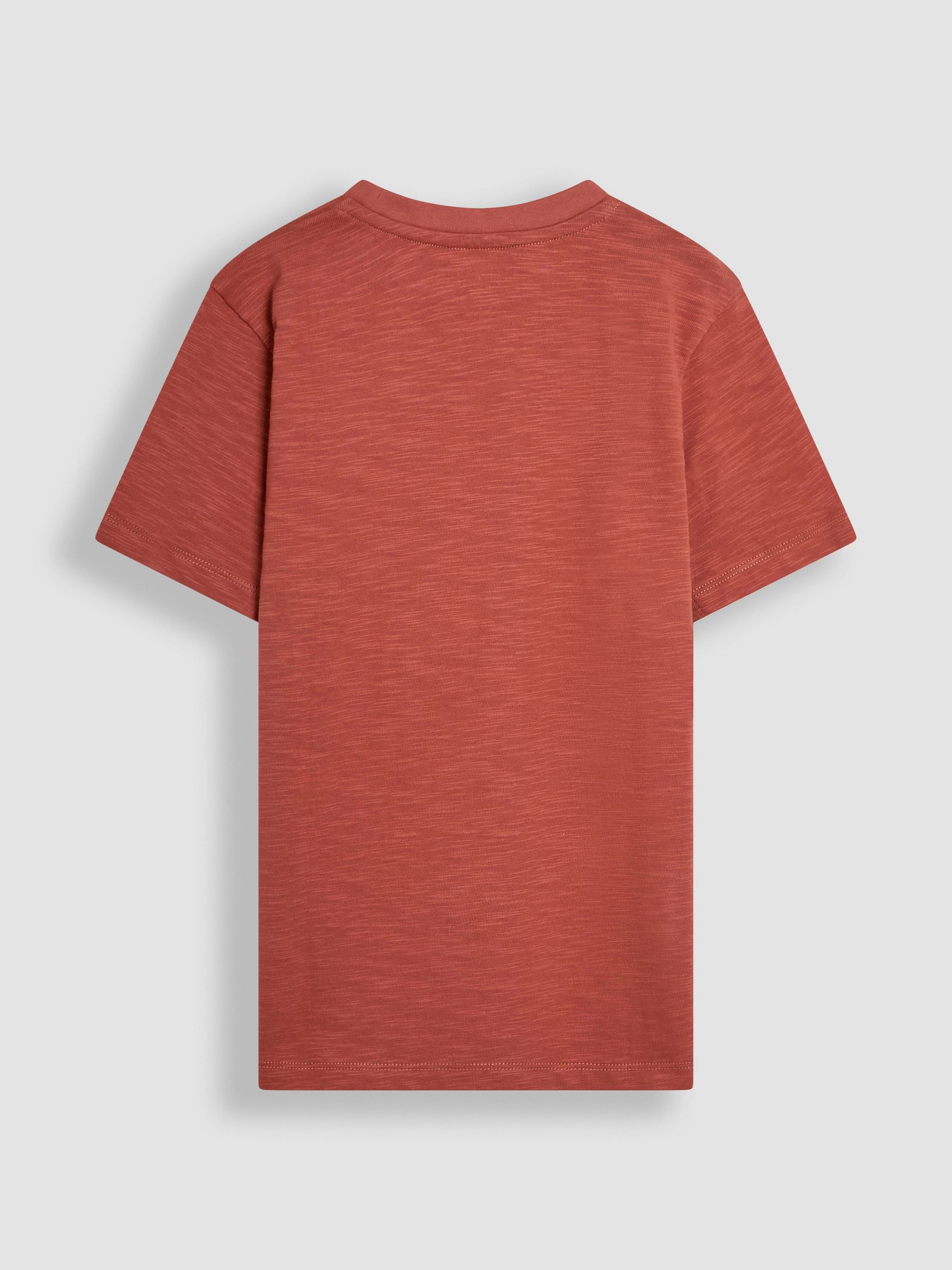 Rust Dino Graphic Print T-Shirt - Image 3 of 3