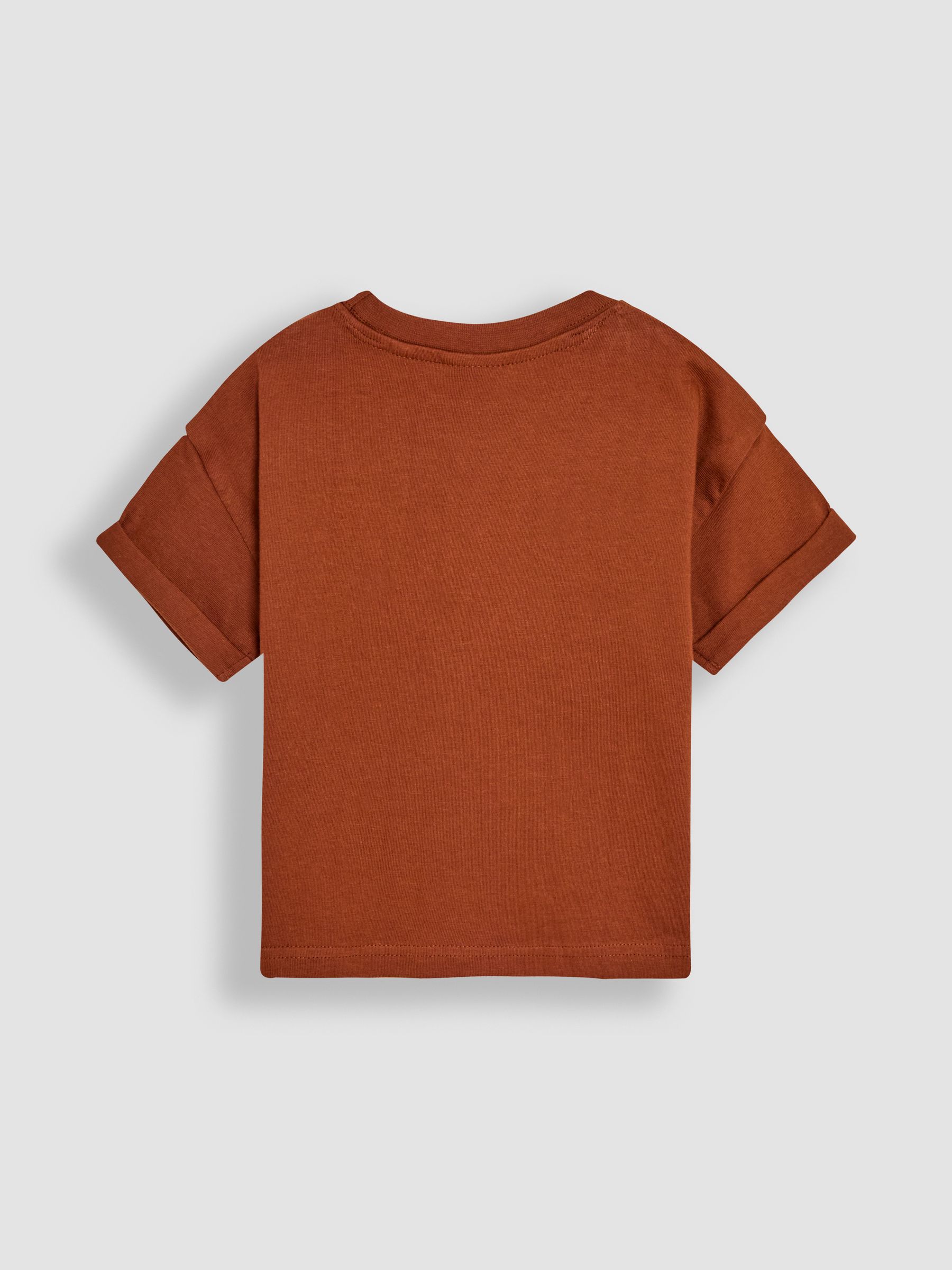 Brown Giraffe Print 100% Cotton T-Shirt & Stripe Joggers Set 2 Piece - Image 3 of 10
