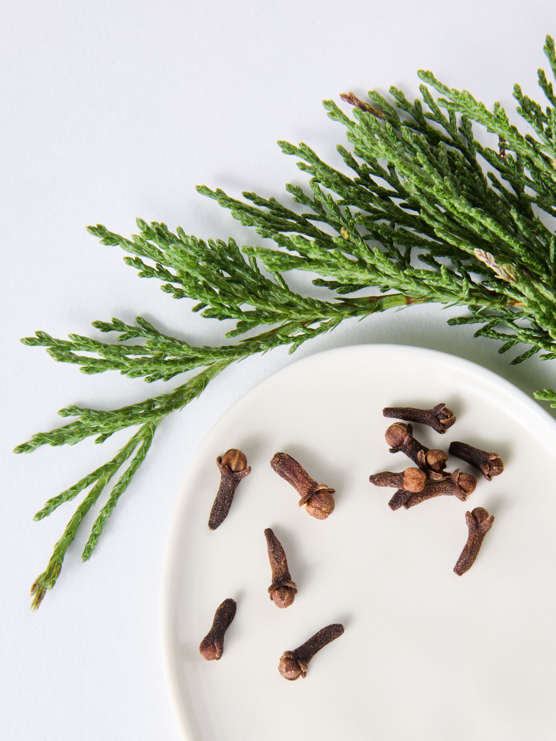 Jasper Conran London Cedar Clove Candle - Image 7 of 7 Jasper Conran London Cedar Clove Candle - Image 7 of 7