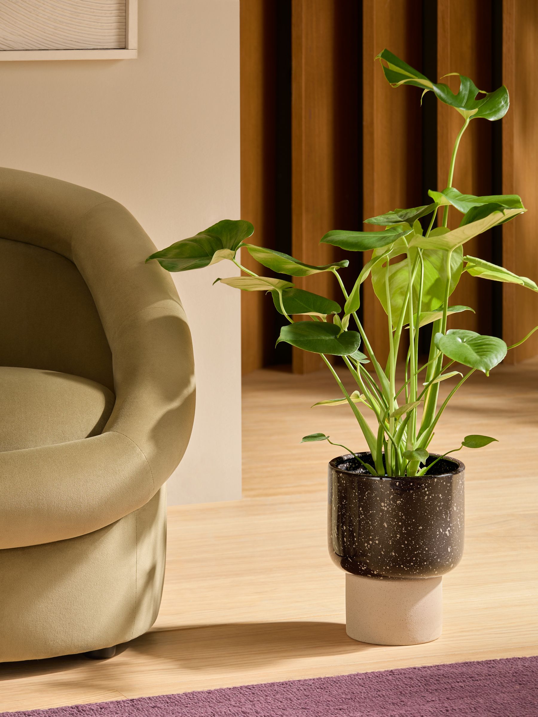 Santiago Hand Splatter Medium Plant Pot in Brown - Image 1 of 4 Santiago Hand Splatter Medium Plant Pot in Brown - Image 1 of 4