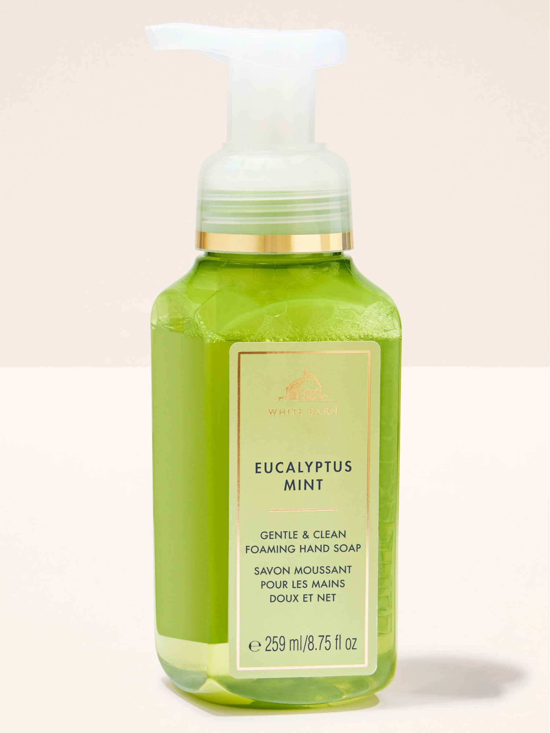 Eucalyptus Mint Gentle & Clean Foaming Hand Soap 259ml - Image 1 of 2