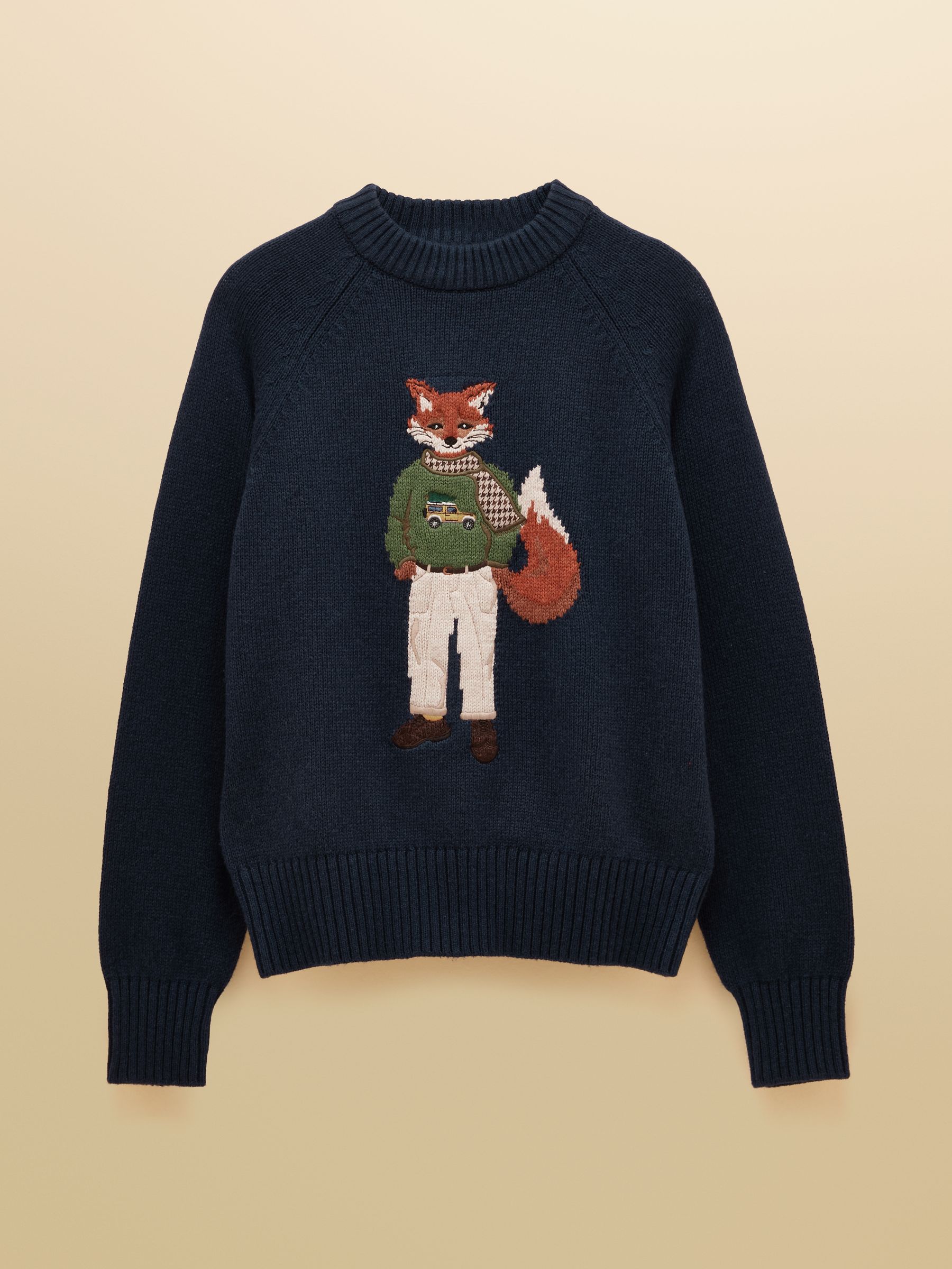 Navy Jonty Intarsia Cotton-Rich Crew Neck Jumper - Image 8 of 8 Navy Jonty Intarsia Cotton-Rich Crew Neck Jumper - Image 8 of 8