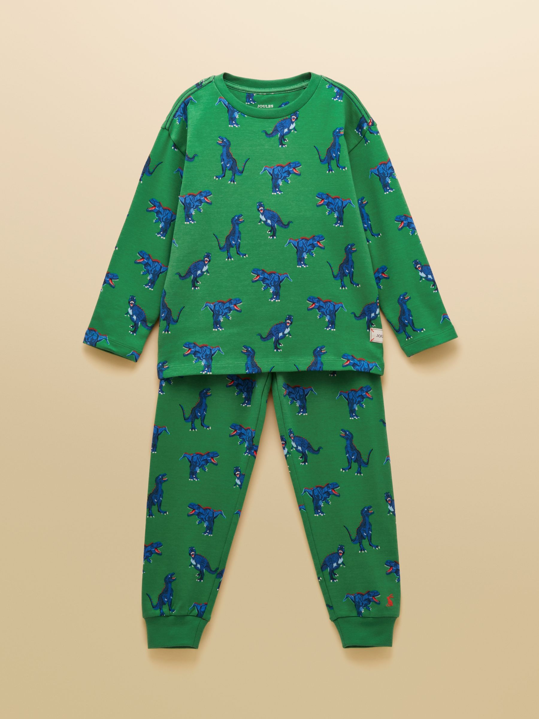 Boys' Kipwell Green Dino Long Sleeve Pyjama Set - Image 1 of 5