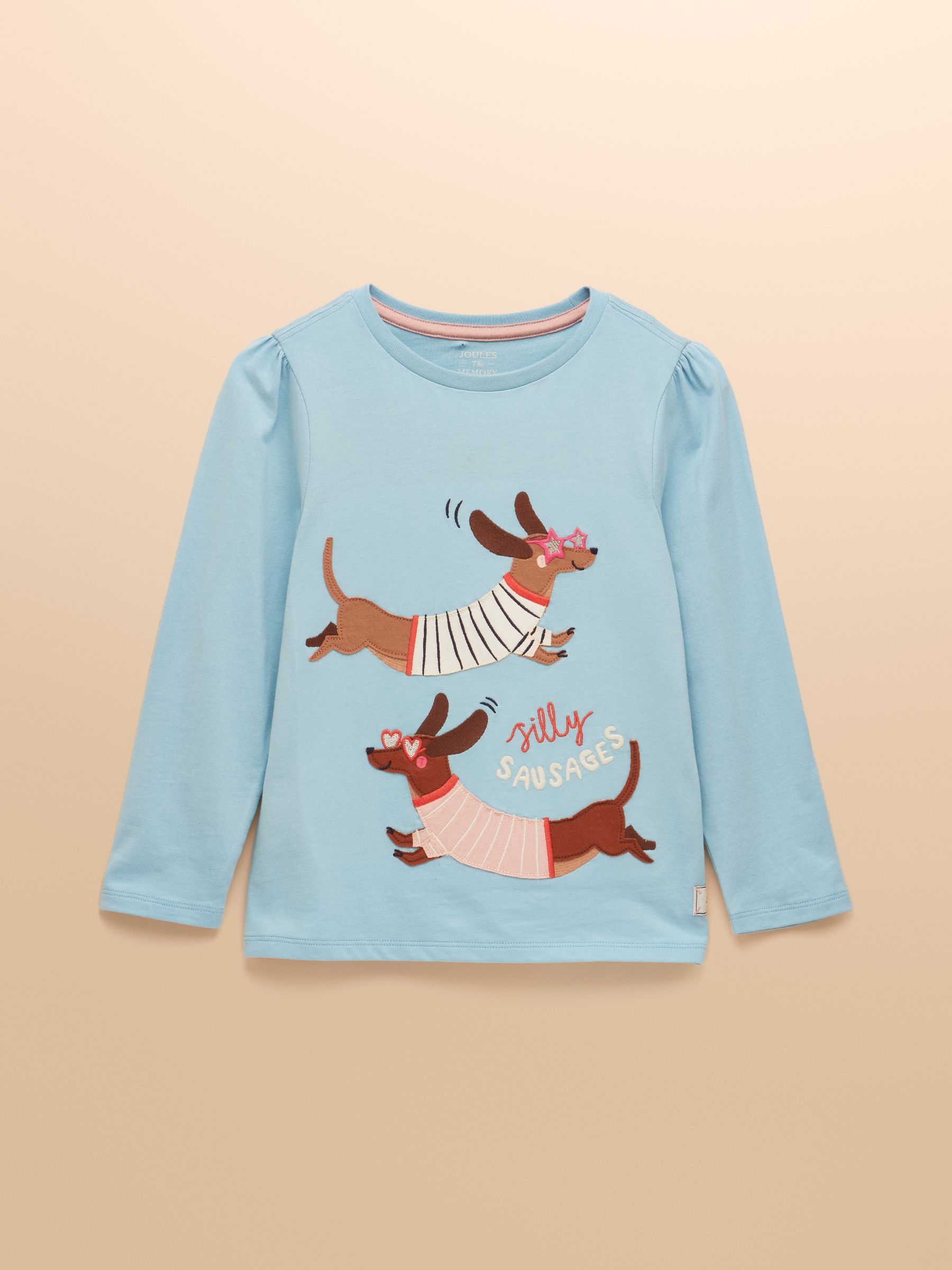 Girls' Ava Blue Applique Long Sleeve Top - Image 1 of 5