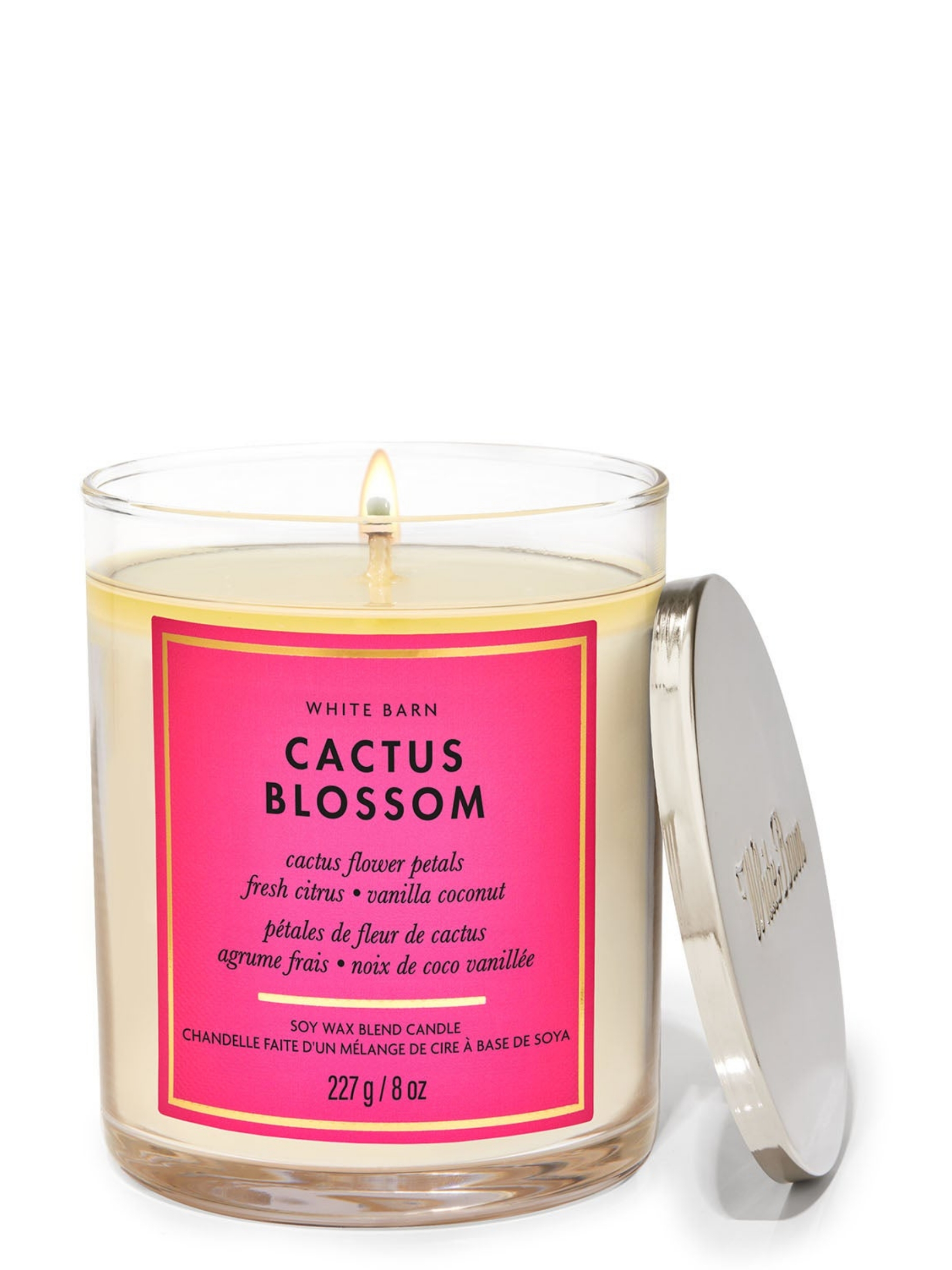 Cactus Blossom Single Wick Candle 227g - Image 1 of 2 Cactus Blossom Single Wick Candle 227g - Image 1 of 2
