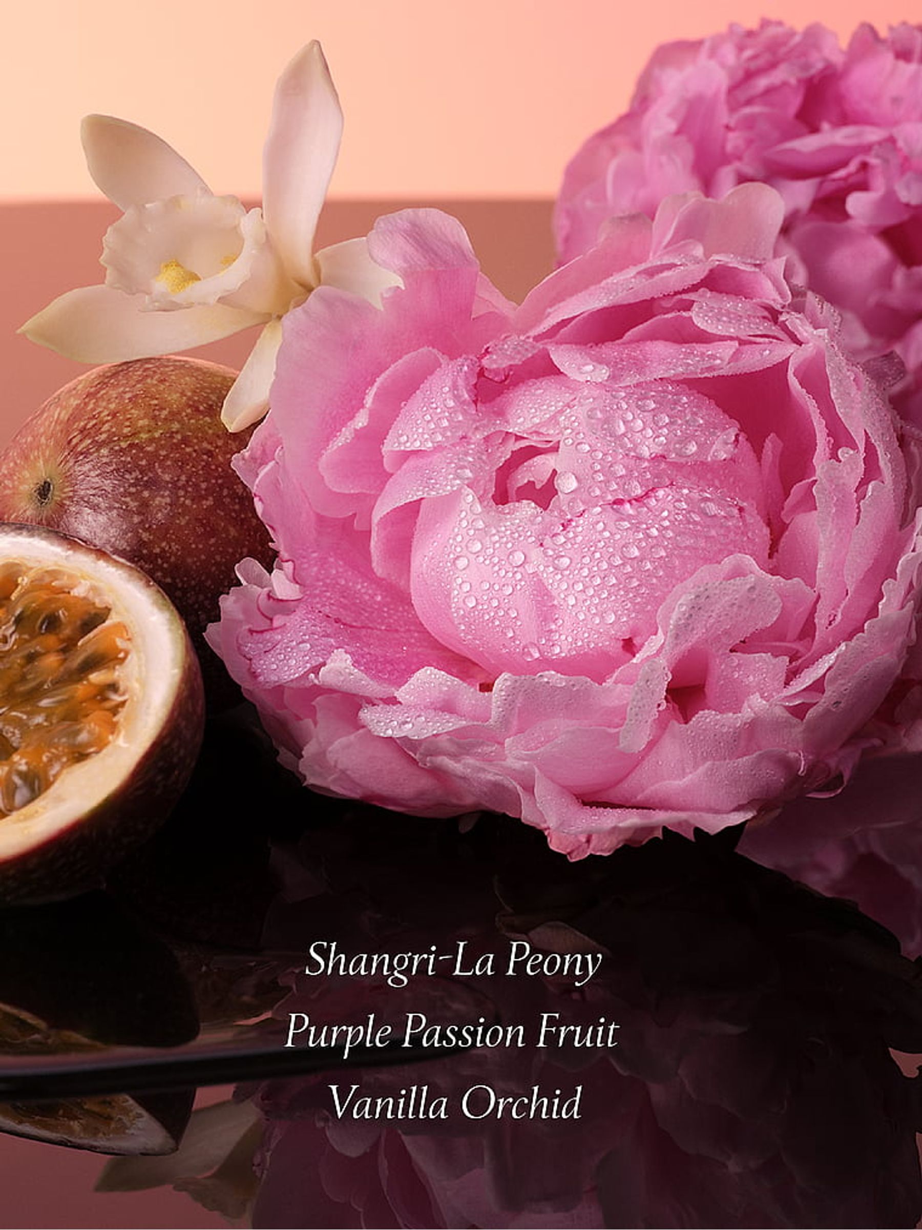 Bombshell Fine Fragrance Lotion 250ml - Image 4 of 4