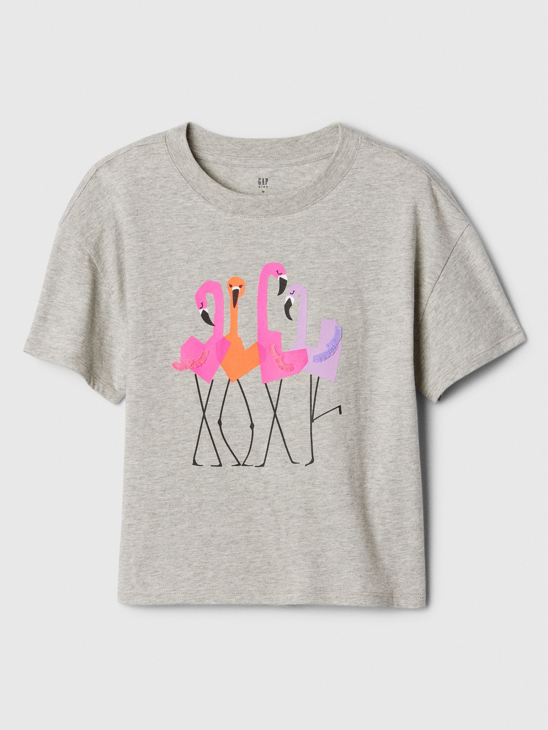 Grey Flamingo Graphic Short Sleeve Crew Neck T-Shirt (4-13yrs) - Image 1 of 2