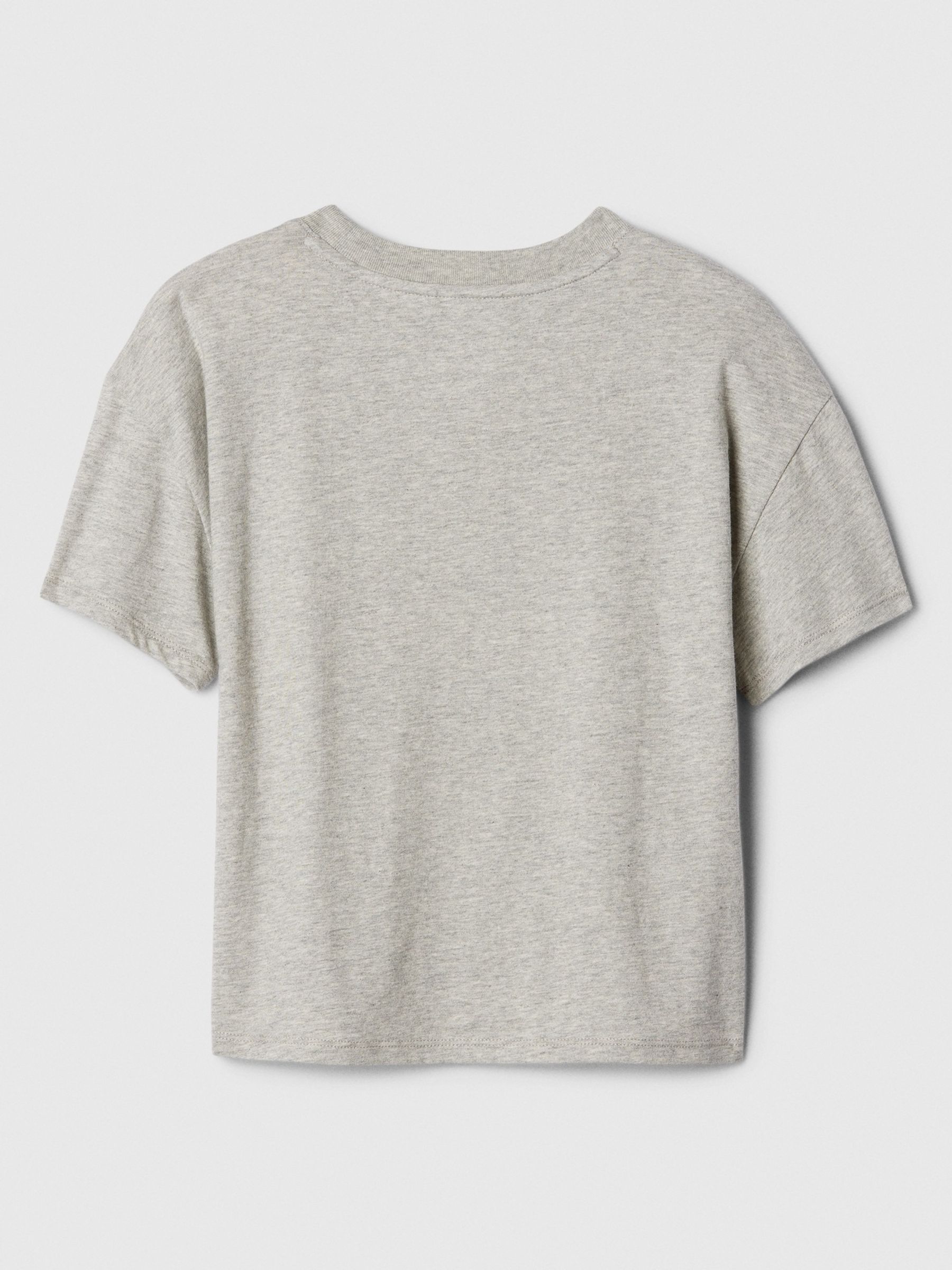 Grey Flamingo Graphic Short Sleeve Crew Neck T-Shirt (4-13yrs) - Image 2 of 2