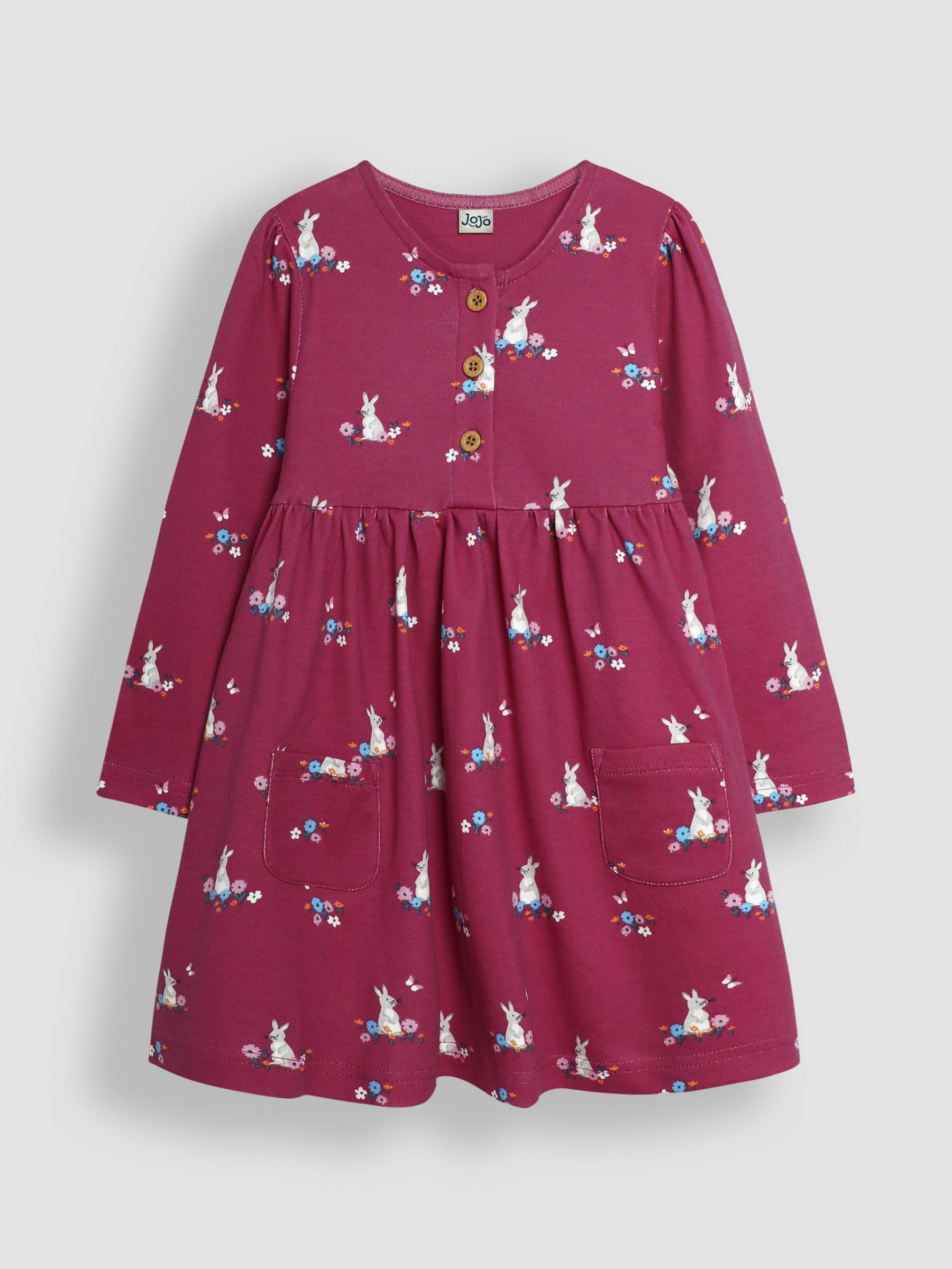 Berry Bunny and Butterfly Button Front Dress - Image 1 of 3