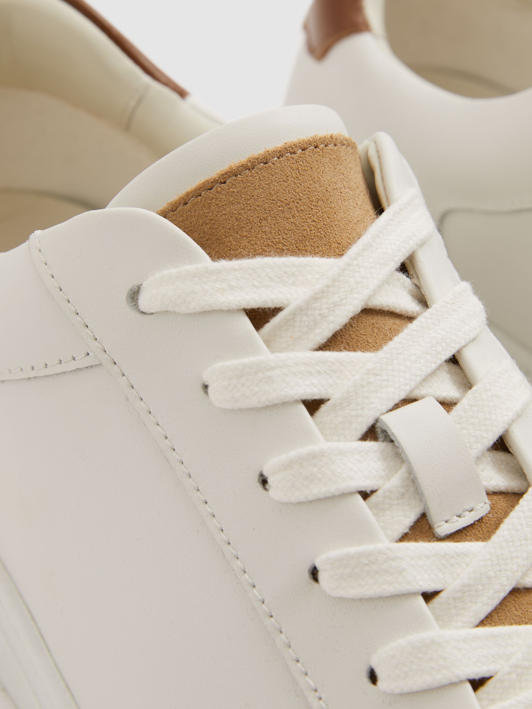 Ashley Camel/Ecru Leather Suede Detail Trainers - Image 5 of 5