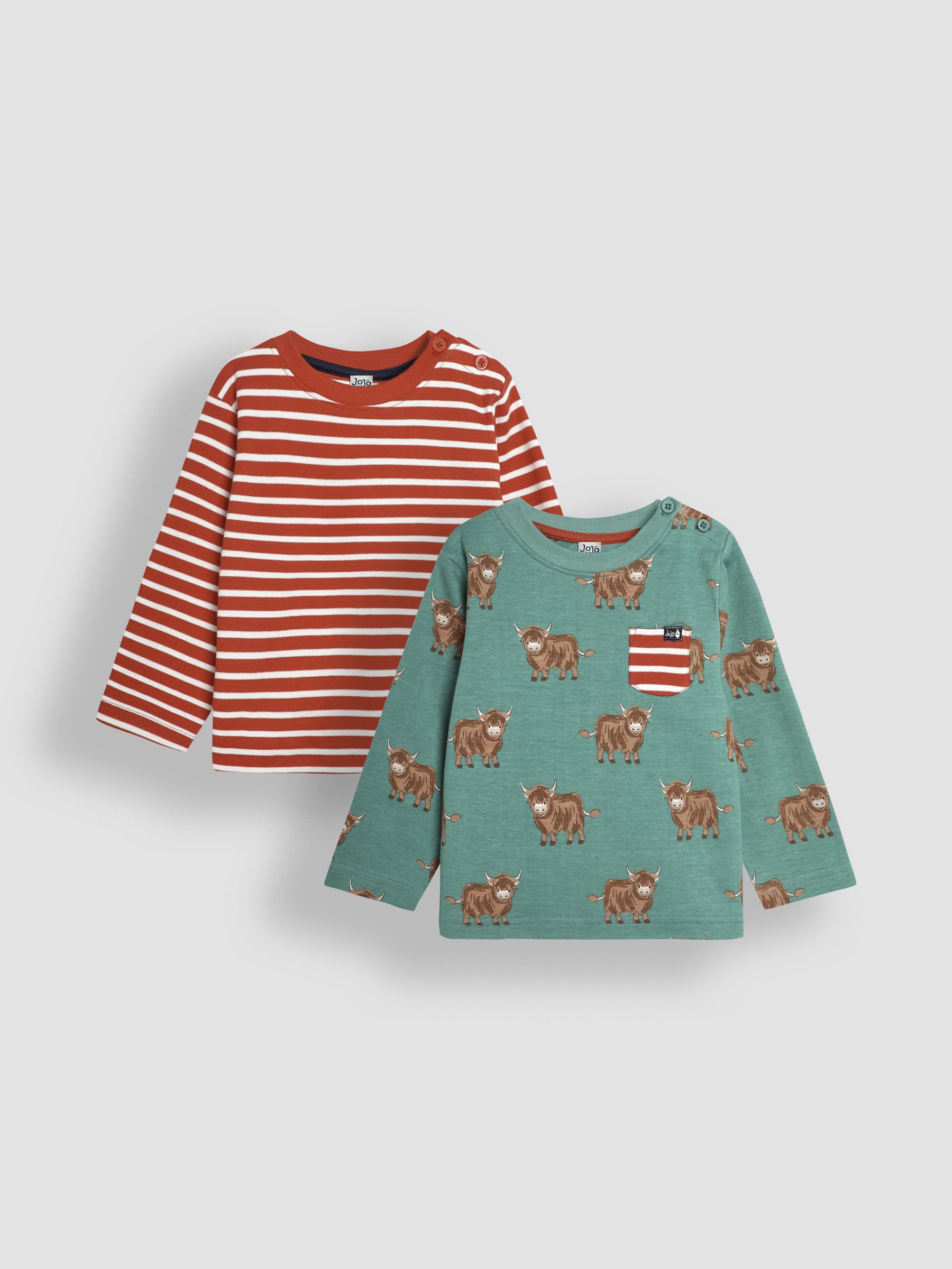 Green Highland Cow Print & Stripe Long Sleeve 2-Pack Tops - Image 1 of 5