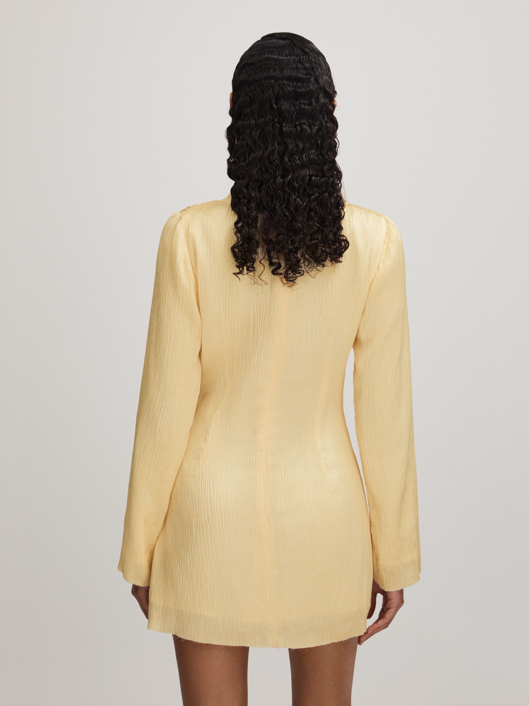 Heather Buttercup Anna Quan Plisse Raw Hem Mini Dress - Image 4 of 5